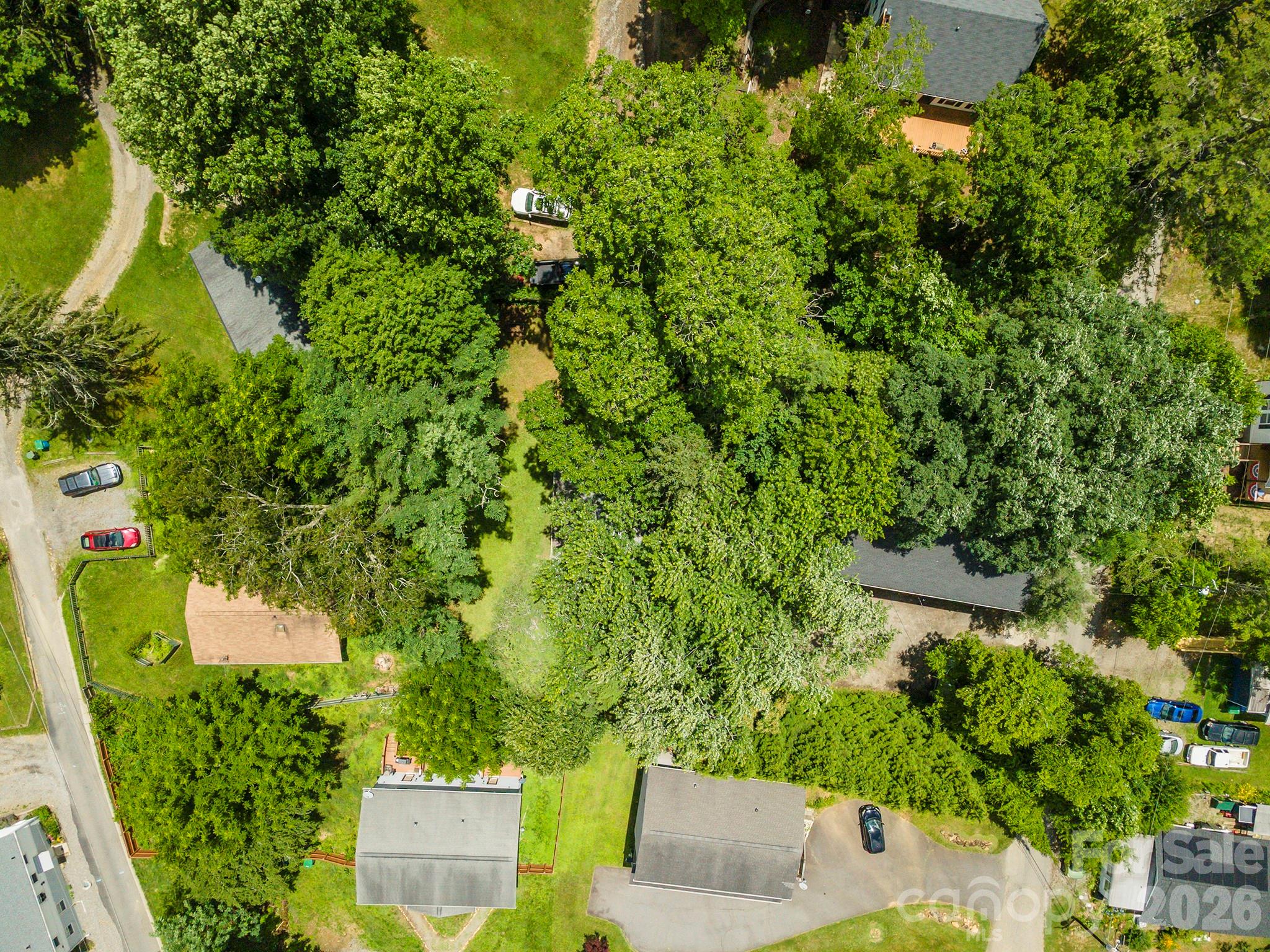 14 Border Street — Black Mountain