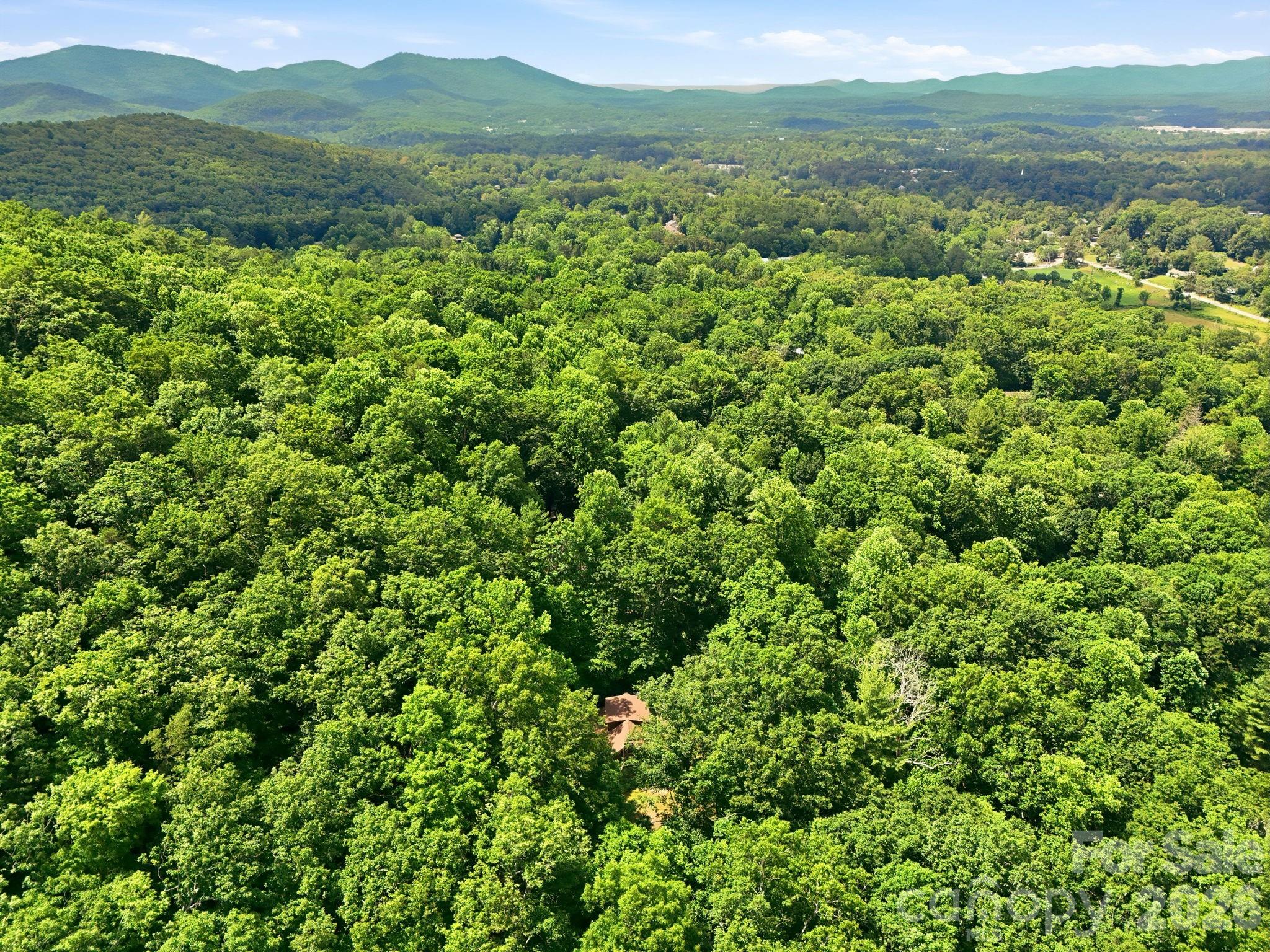3 Parkview Drive Extension — Asheville