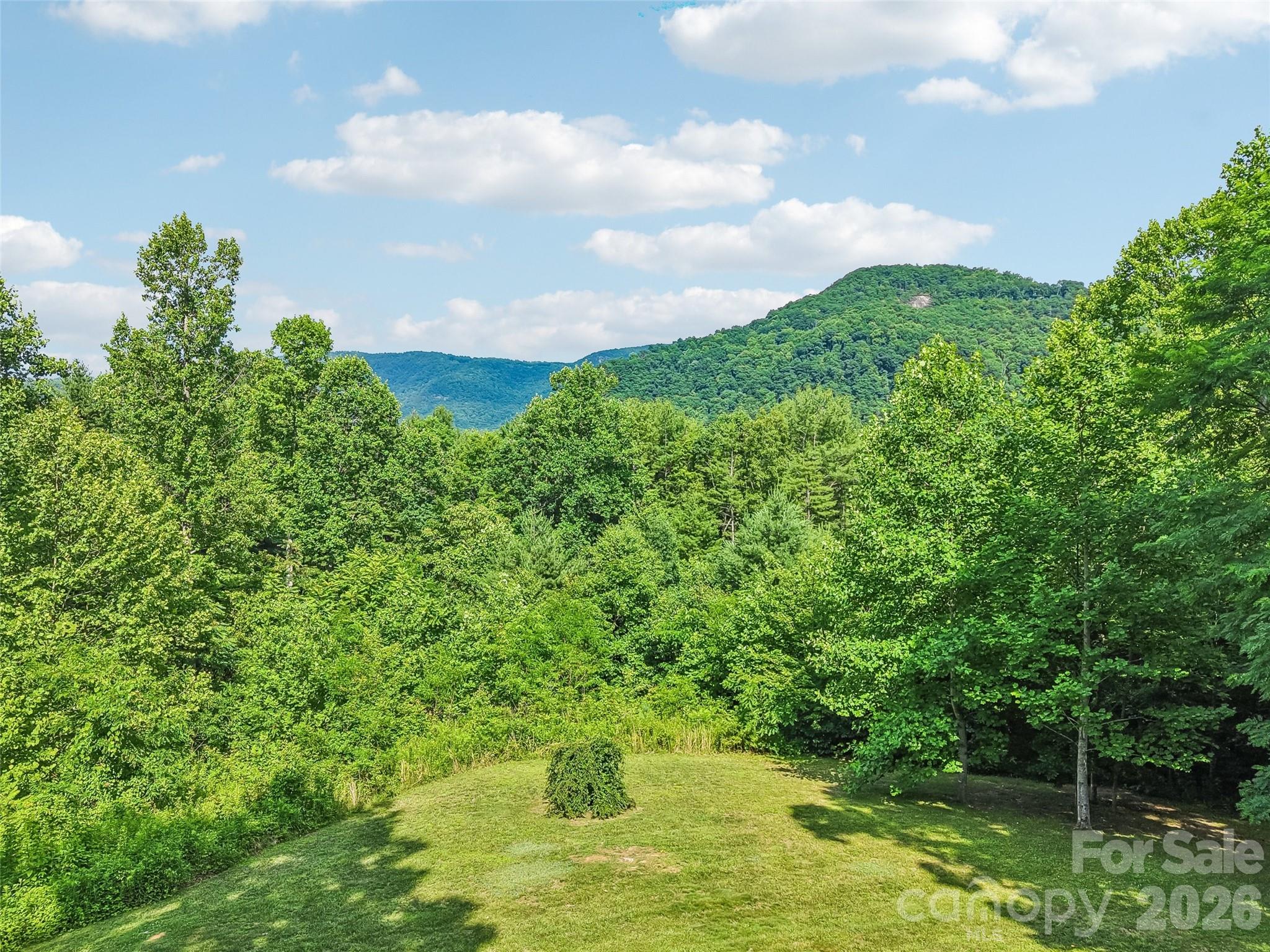 77 Willow Stone Way — Hendersonville