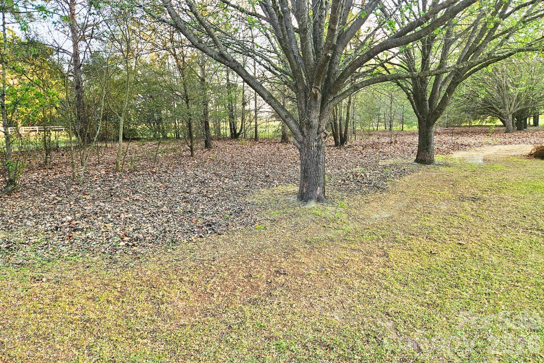 1617 Shampy Drive #A — Hartsville