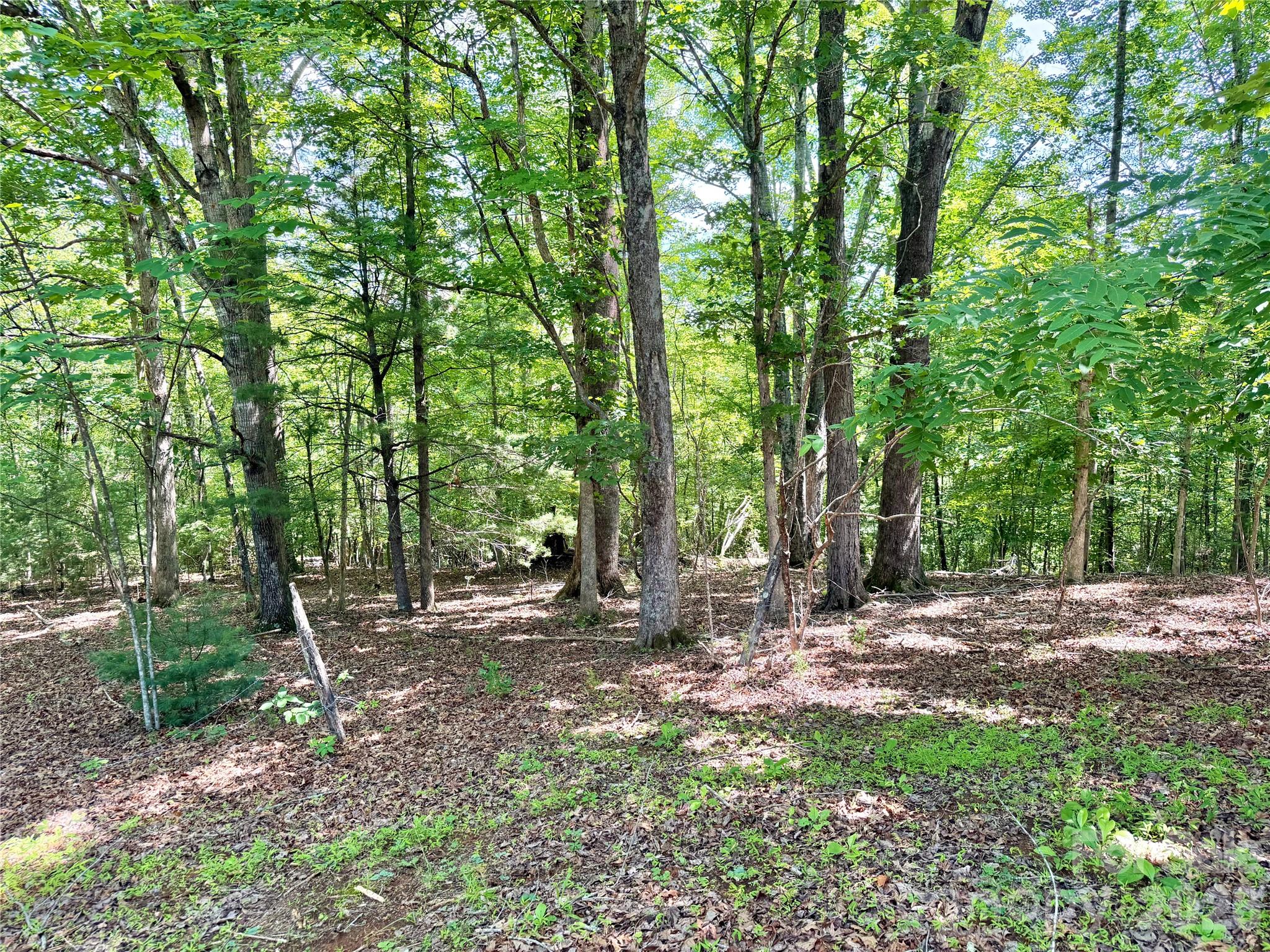 185 Dulaney Drive — Nebo