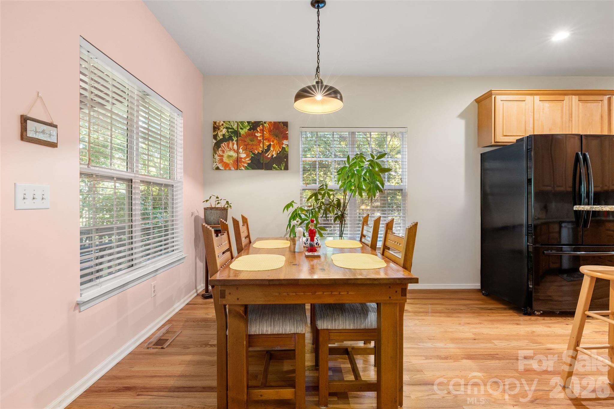 1116 Blueberry Lane — Charlotte