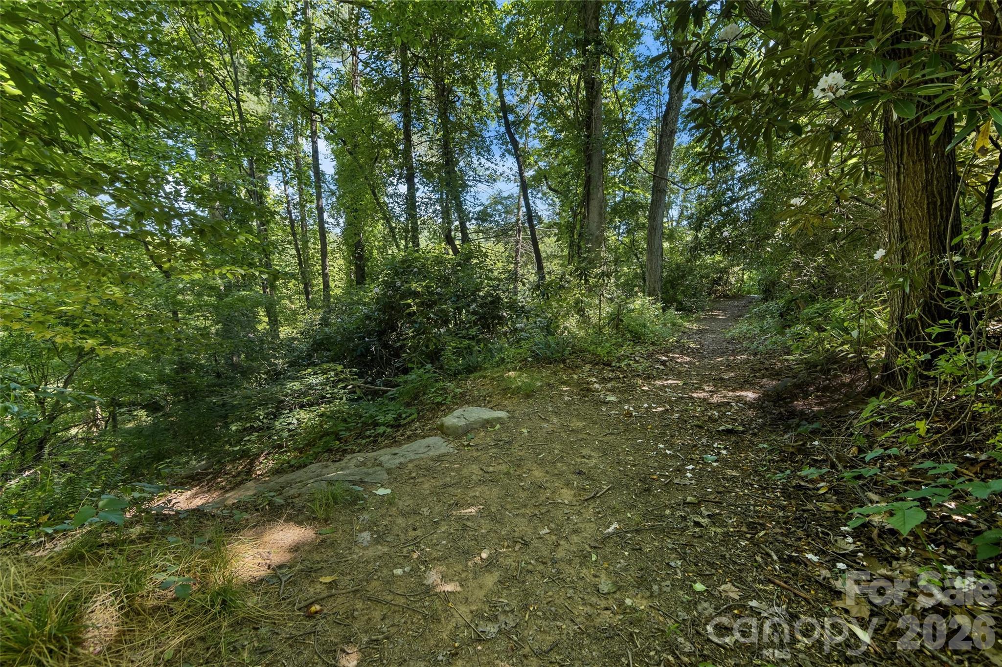 100 Vista Lake Drive #3 — Candler