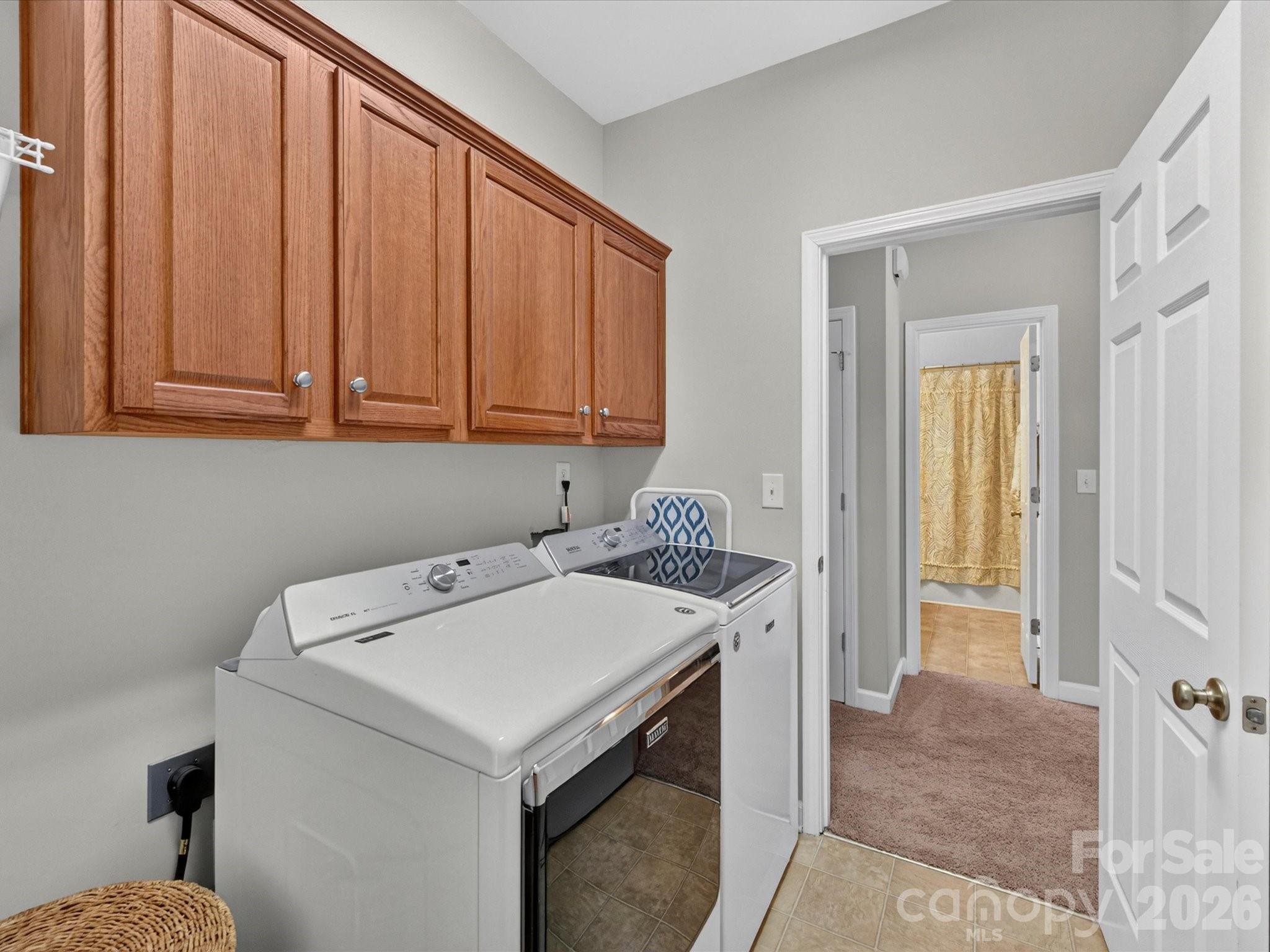 17404 Harbor Walk Drive — Cornelius