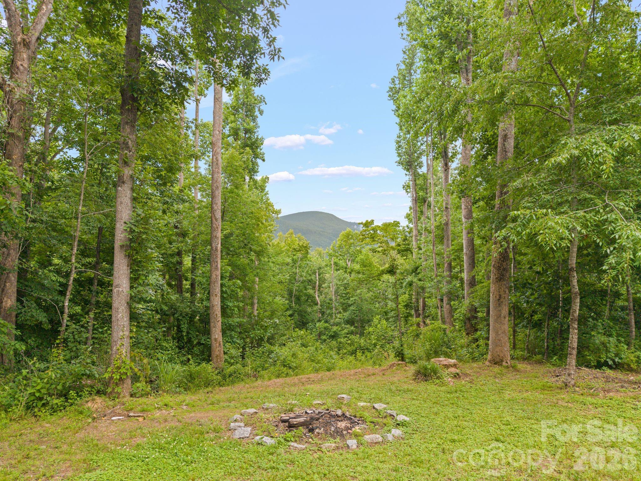 813 Beech Tree Place — Hendersonville