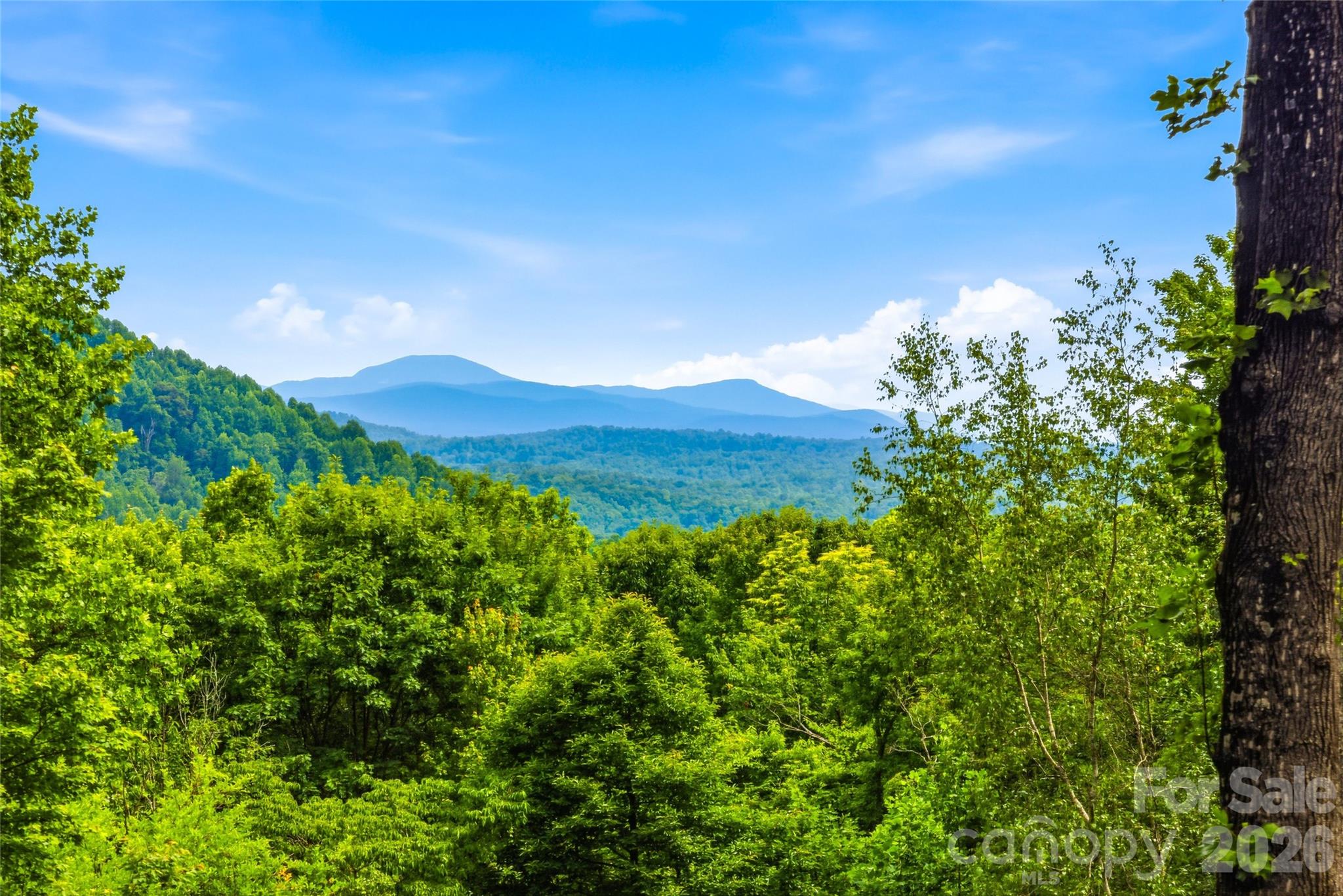 233 Tanglewood Lane — Saluda