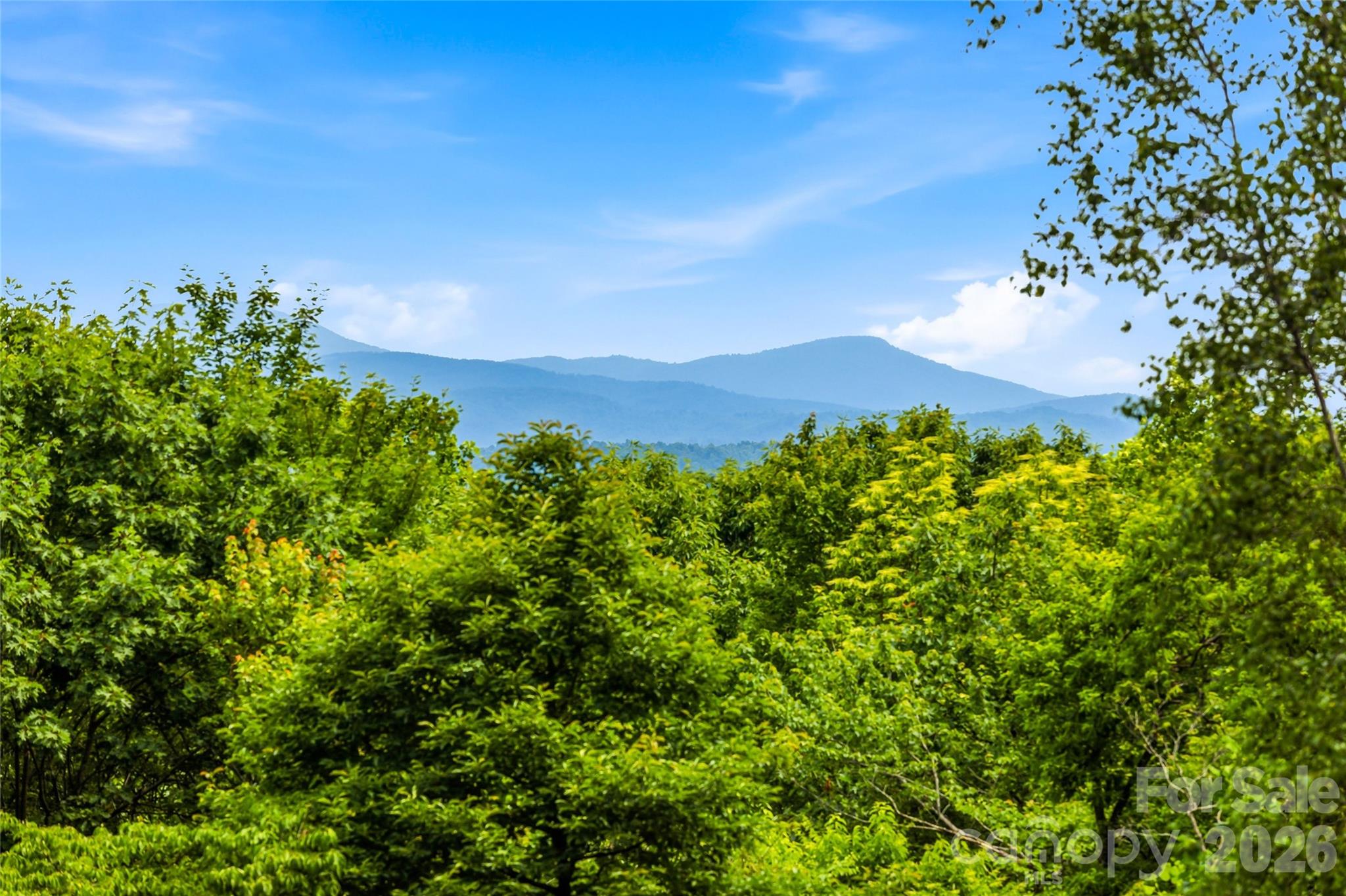 233 Tanglewood Lane — Saluda