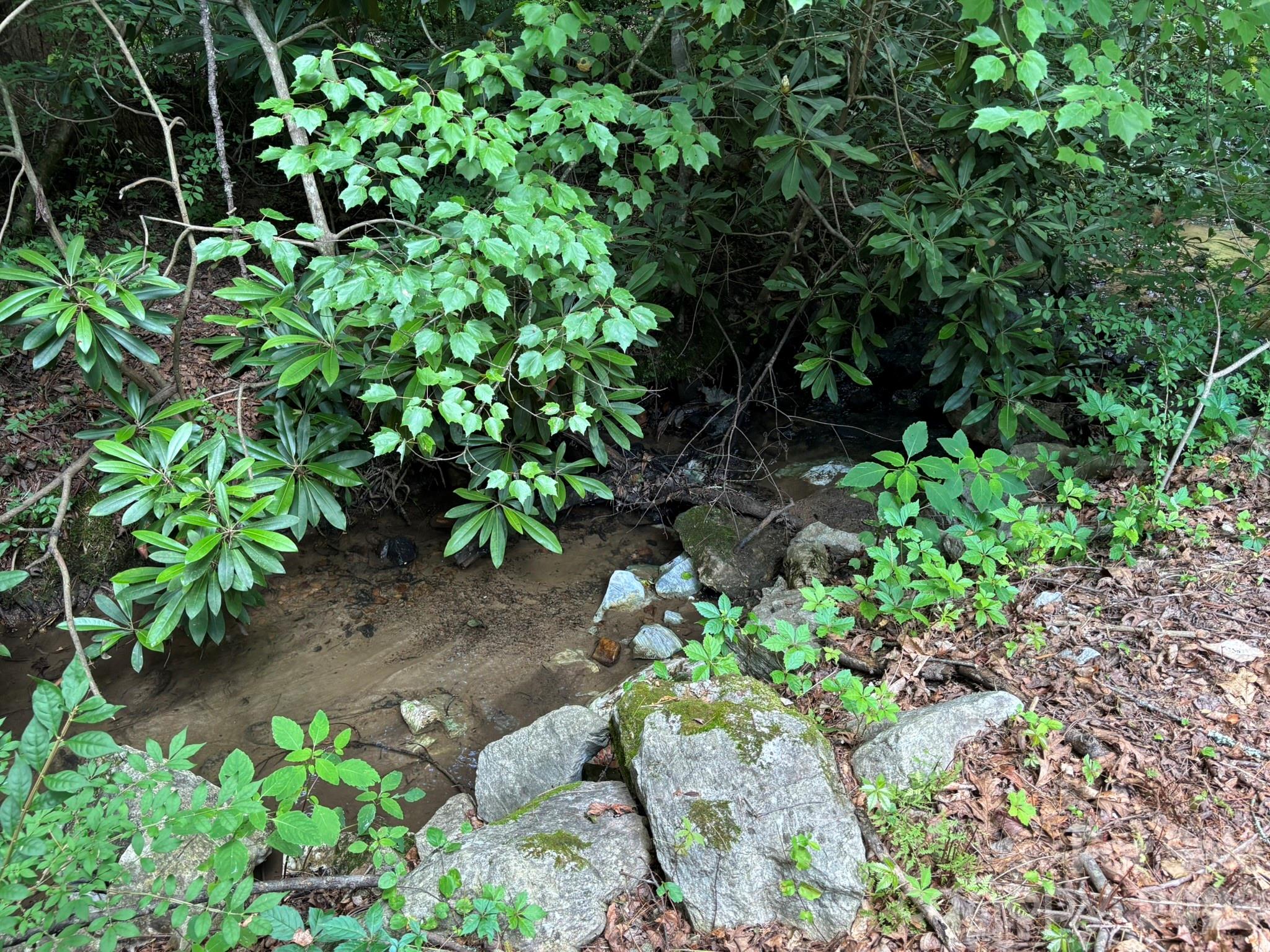 547 Avery Creek Road — Arden