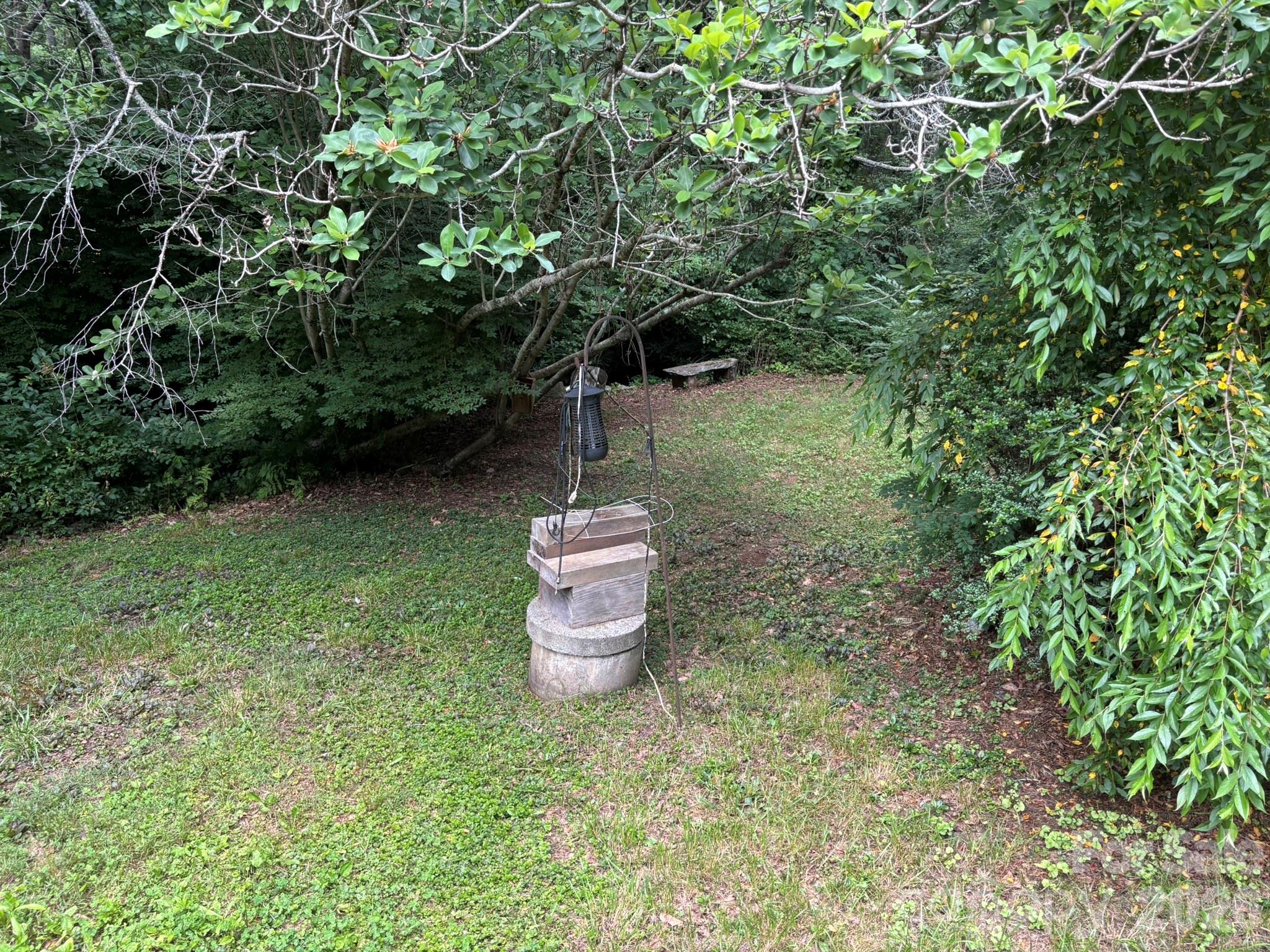 547 Avery Creek Road — Arden