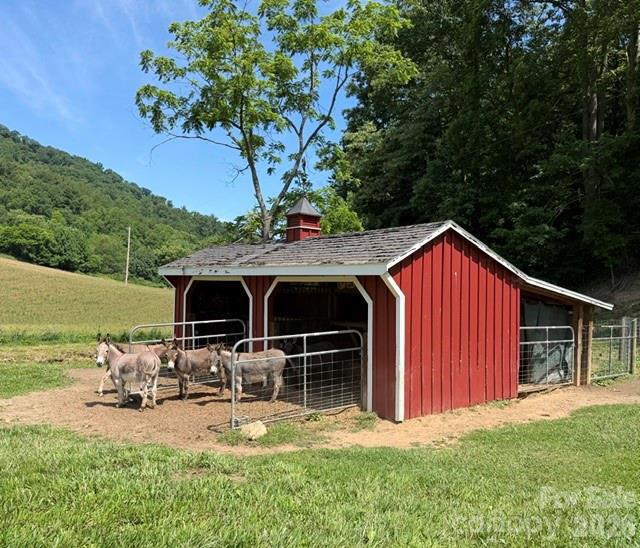 227 Black Bear Cove — Clyde