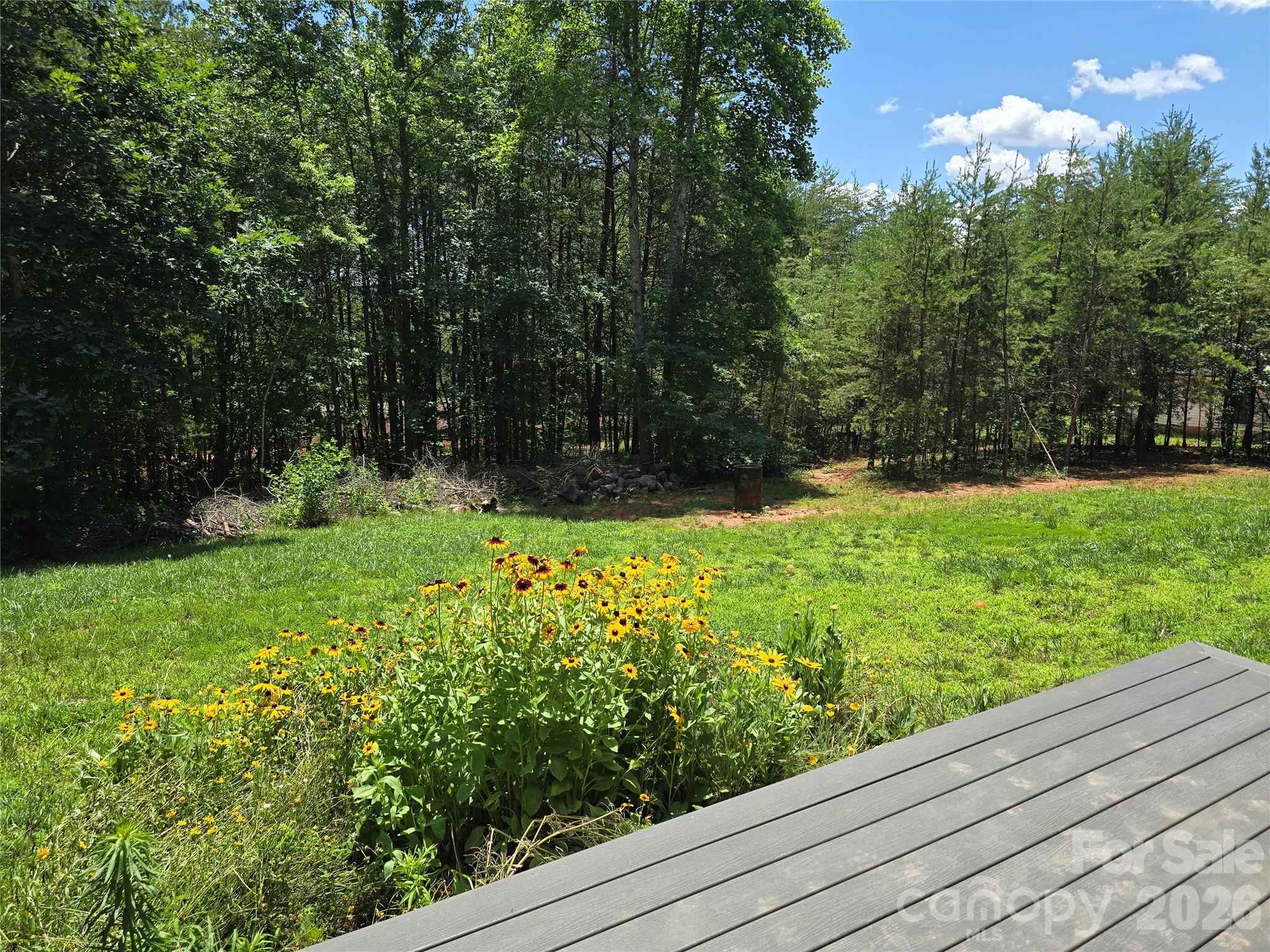 980 Smith Waldrop Road — Mill Spring