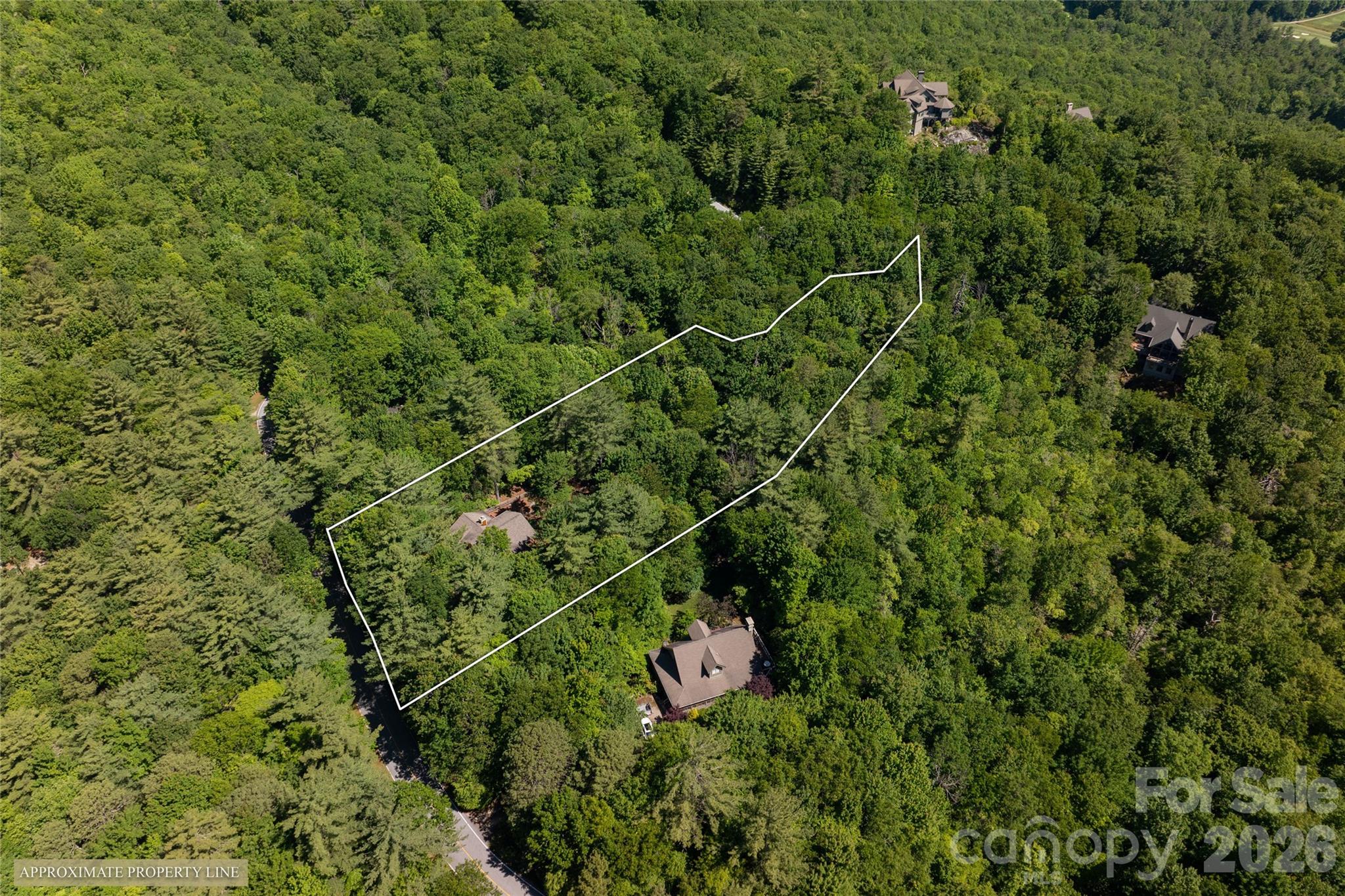 522 Toxaway Court — Lake Toxaway