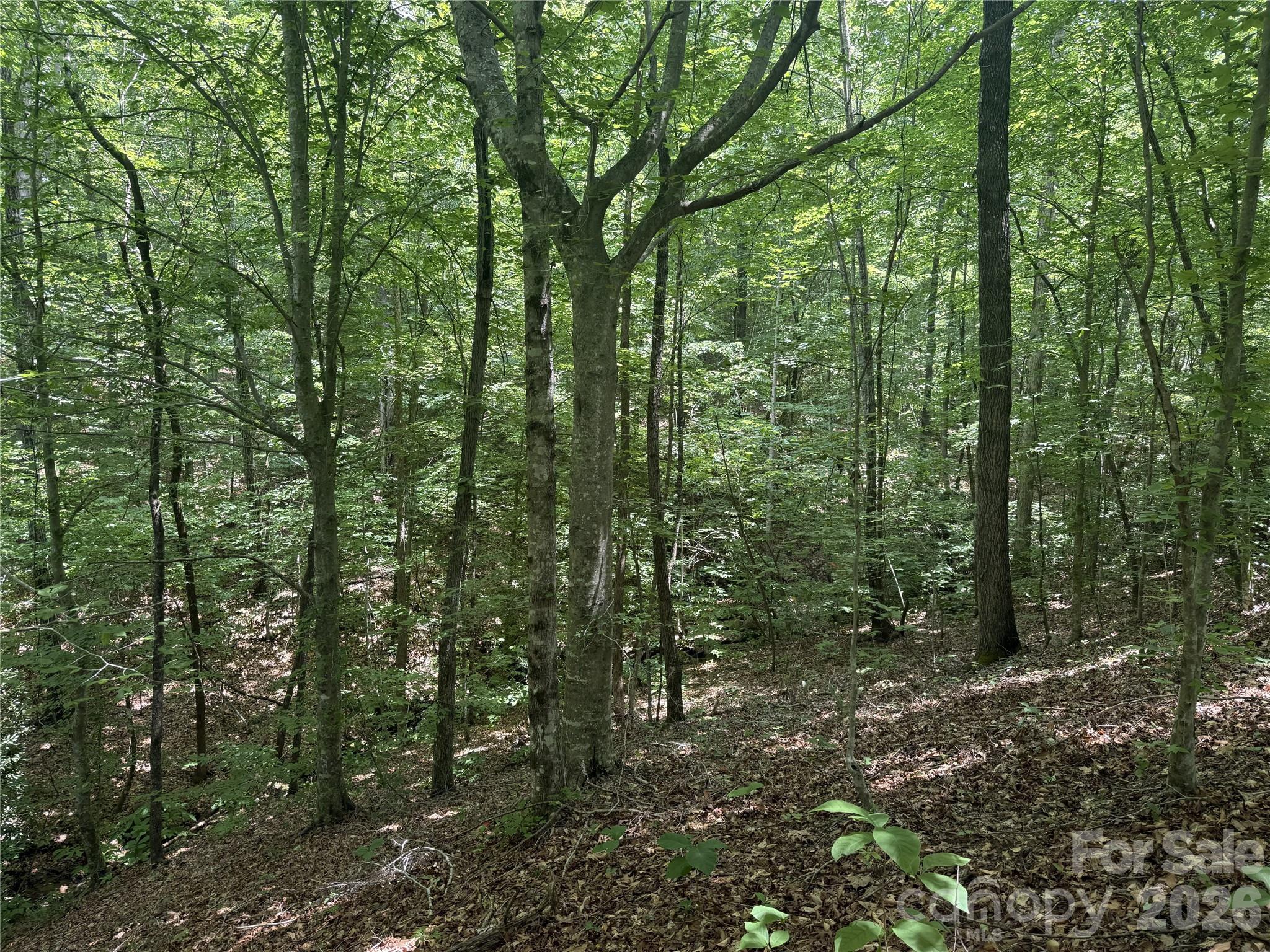 316 318 Cane Creek Mountain Road — Union Mills
