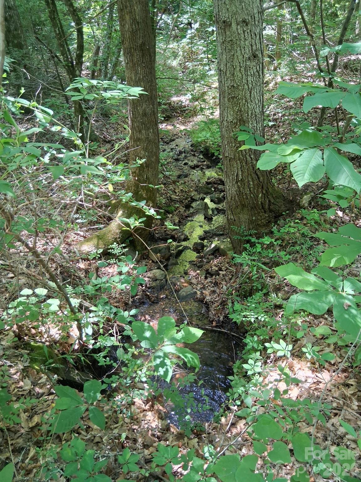 316 318 Cane Creek Mountain Road — Union Mills