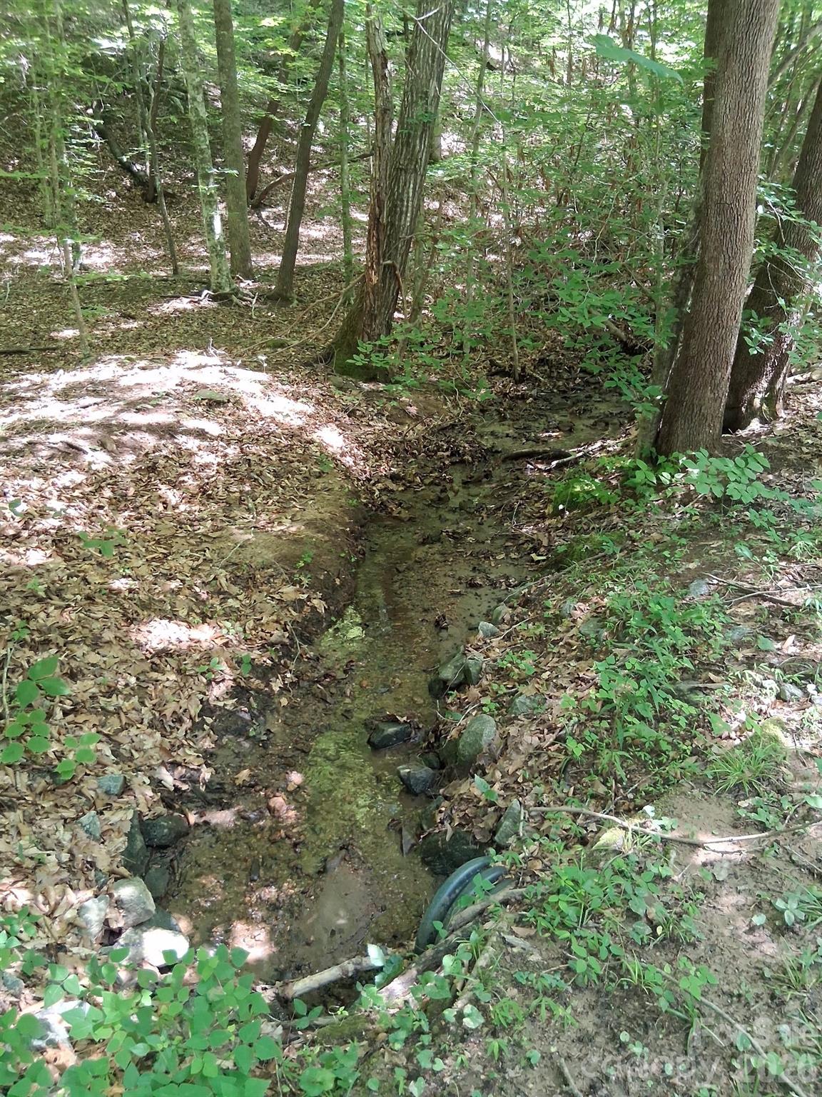 316 318 Cane Creek Mountain Road — Union Mills