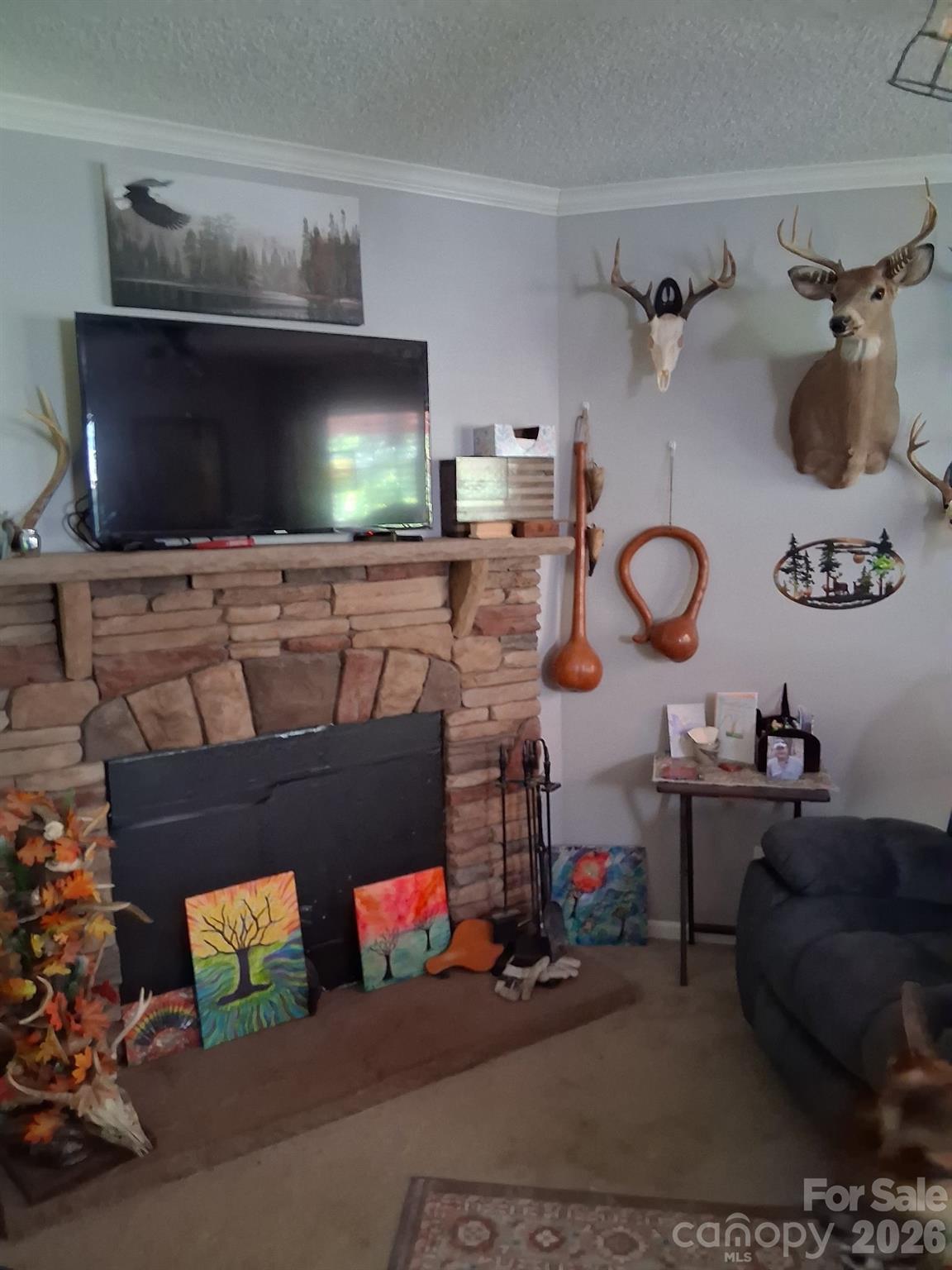 316 318 Cane Creek Mountain Road — Union Mills