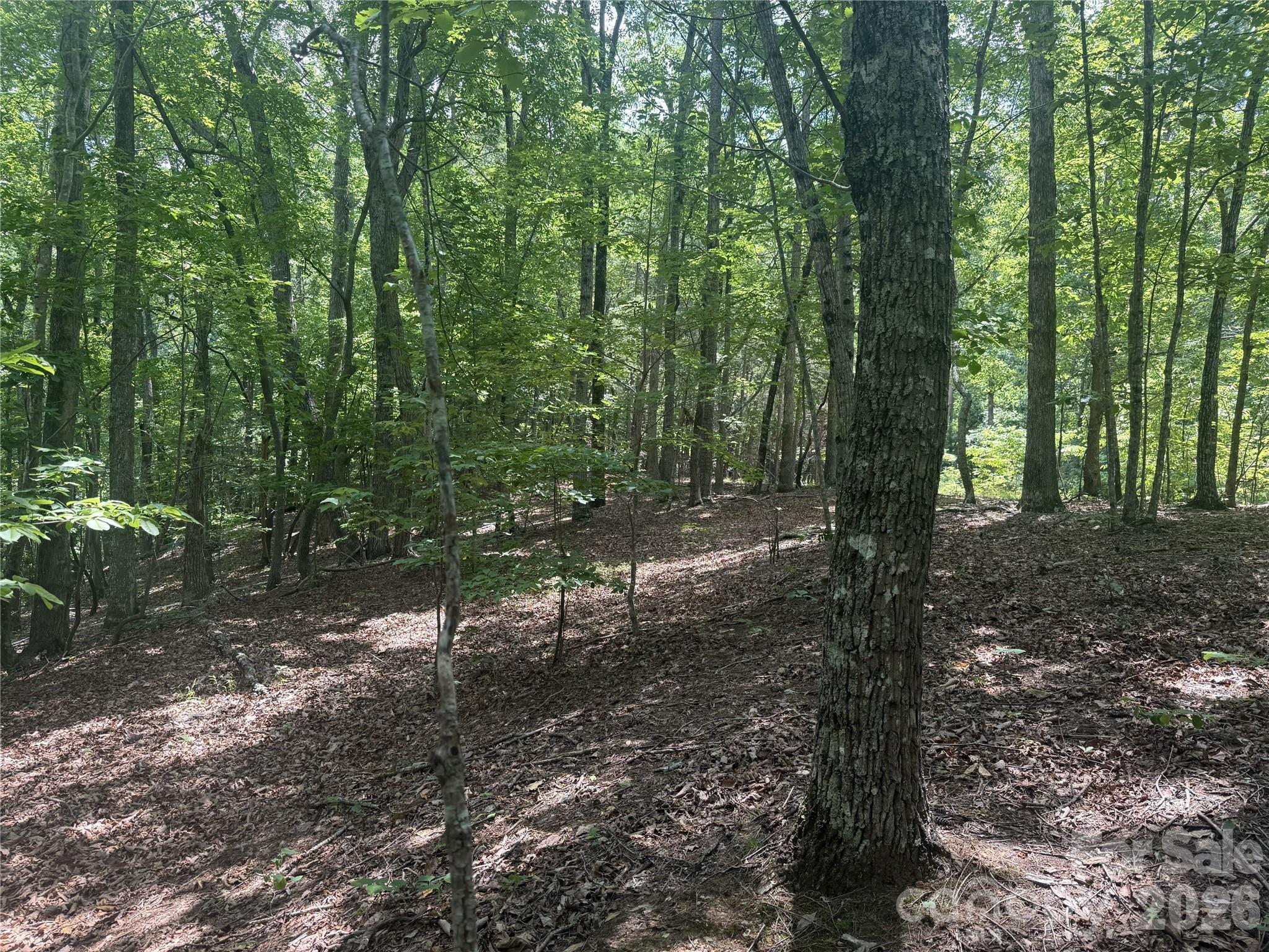 316 318 Cane Creek Mountain Road — Union Mills