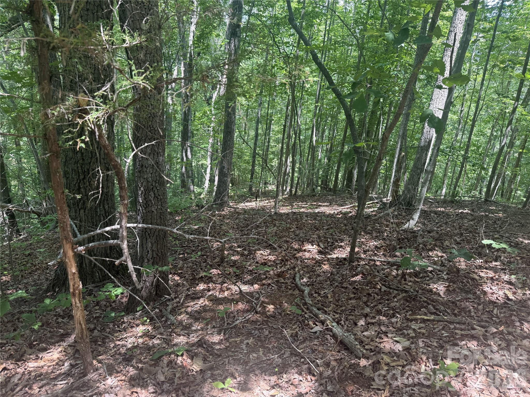 316 318 Cane Creek Mountain Road — Union Mills