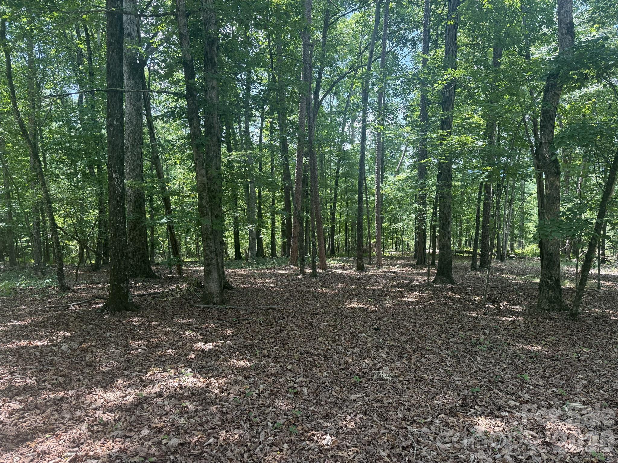 316 318 Cane Creek Mountain Road — Union Mills
