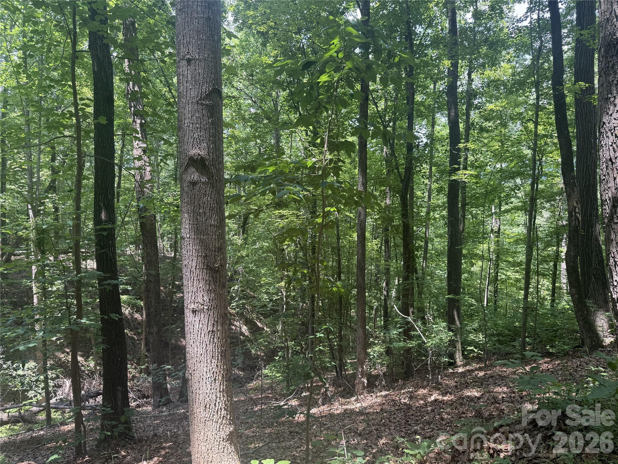 316 318 Cane Creek Mountain Road — Union Mills