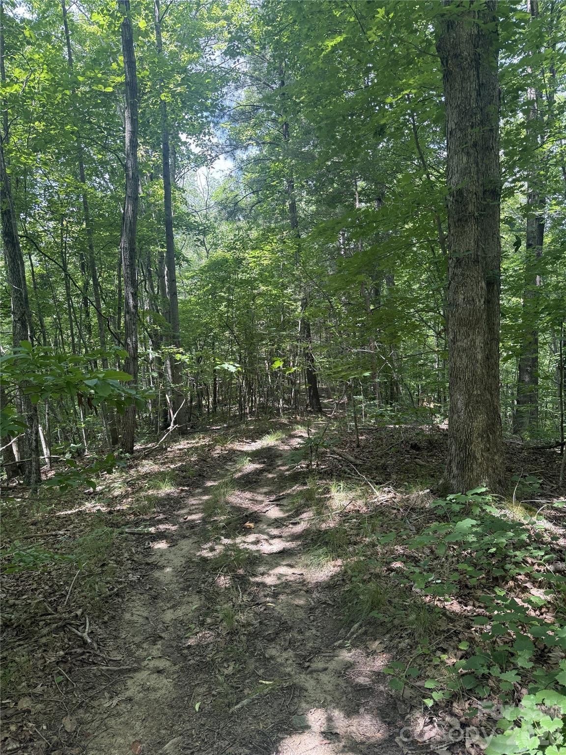 316 318 Cane Creek Mountain Road — Union Mills