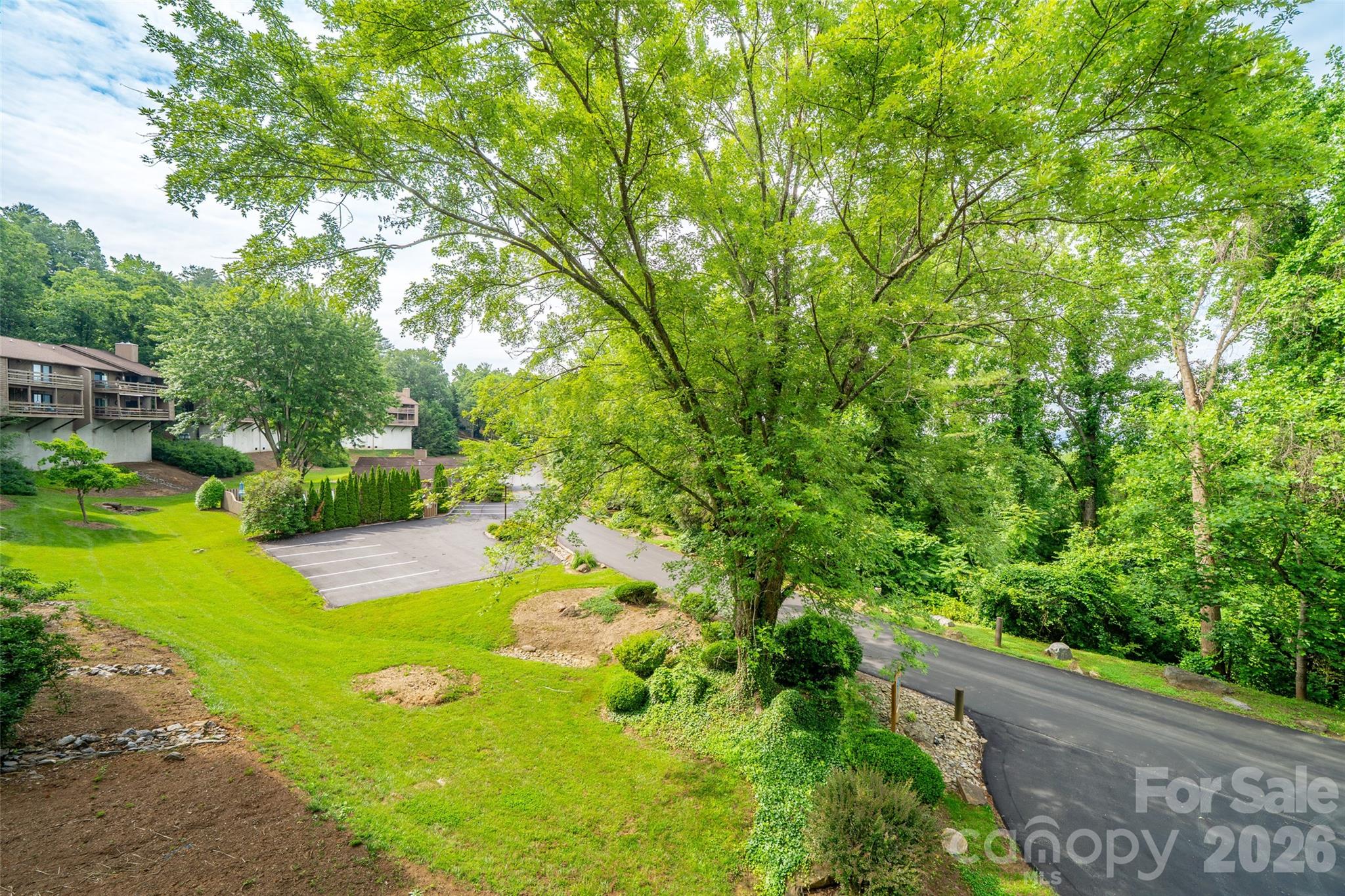 305 Piney Mountain Drive #D-1 — Asheville
