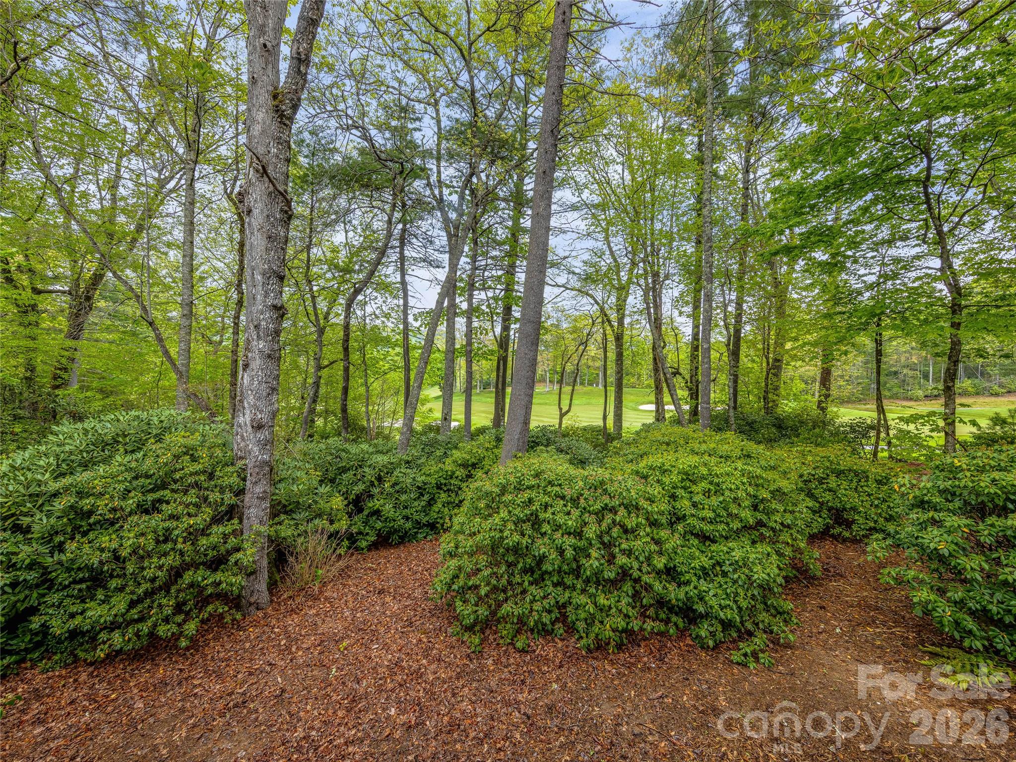 250 Fairway Drive — Lake Toxaway