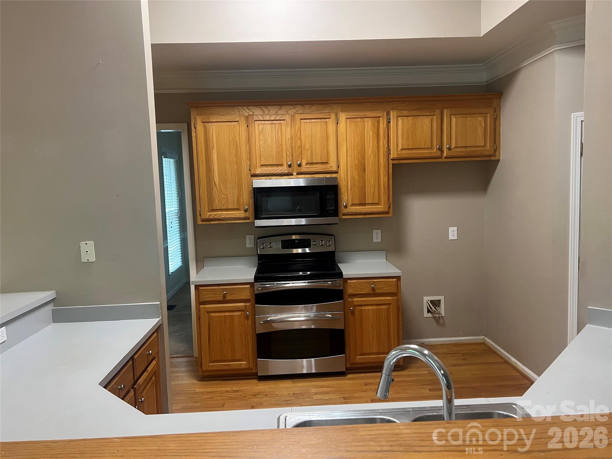 17208 Sycamore Ridge Court — Cornelius