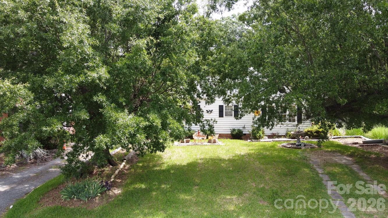 909 Drummond Avenue — Charlotte