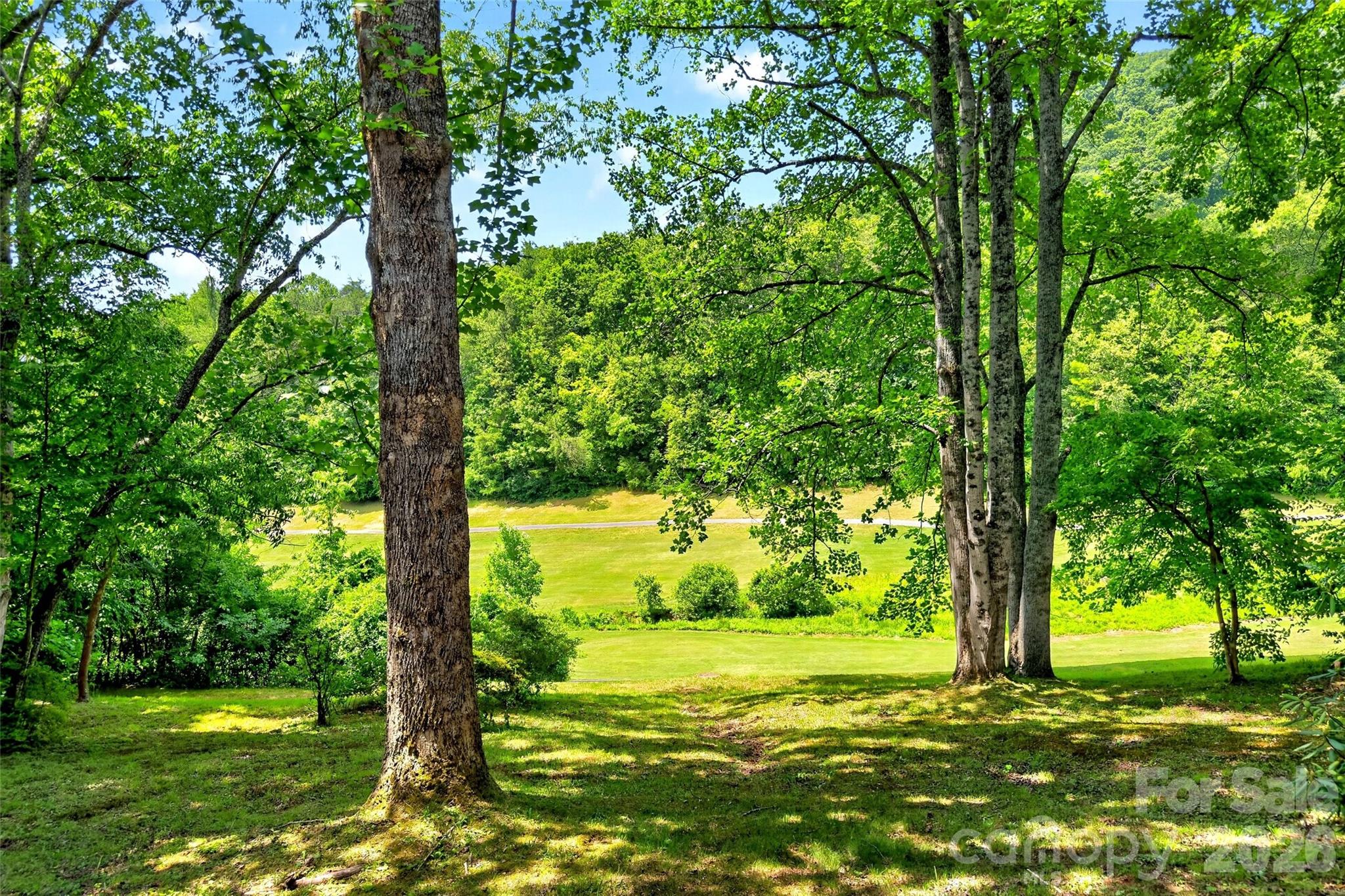 103 Richard Lane — Black Mountain