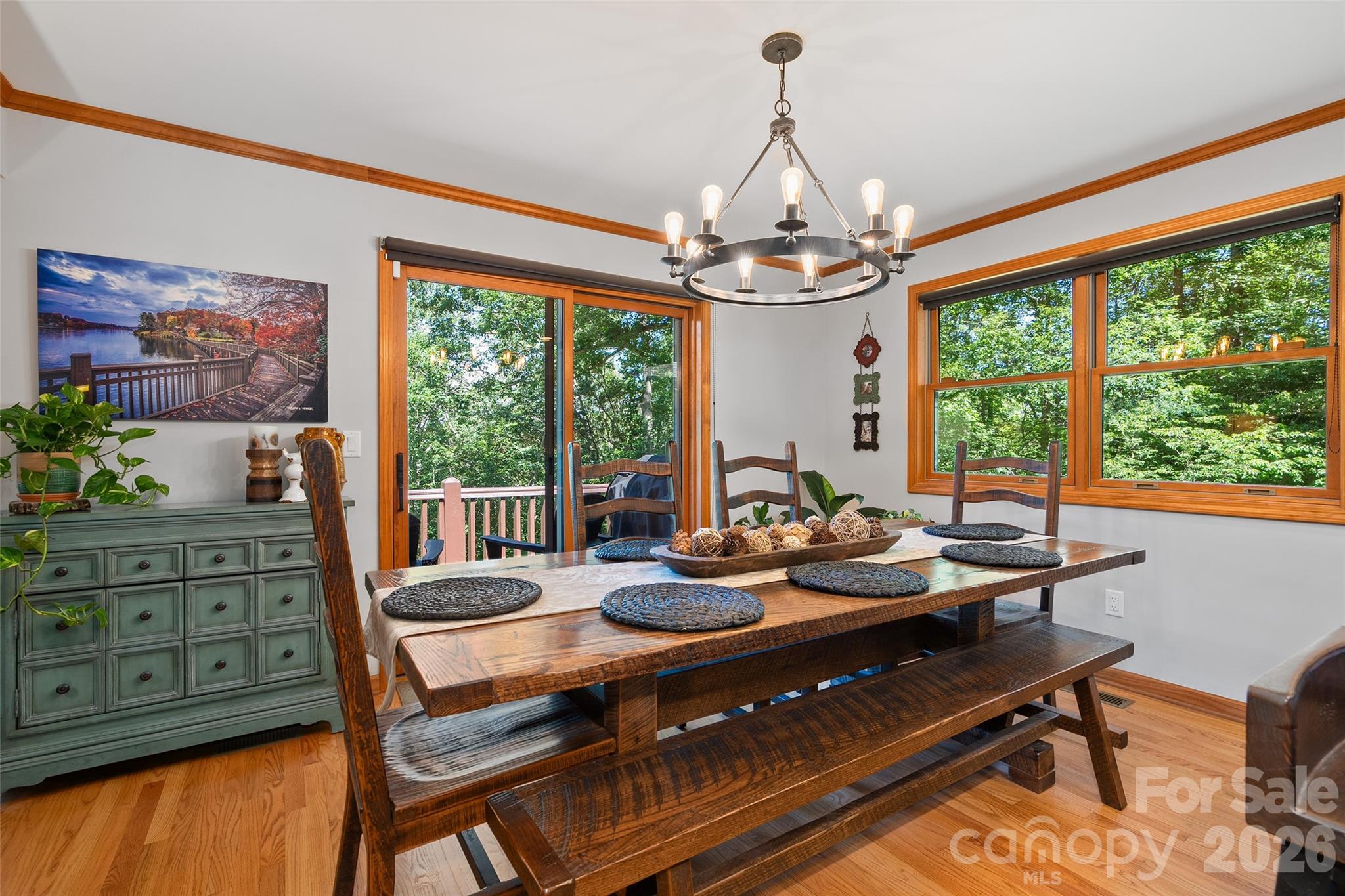 359 Saddlebrook Lane — Clyde