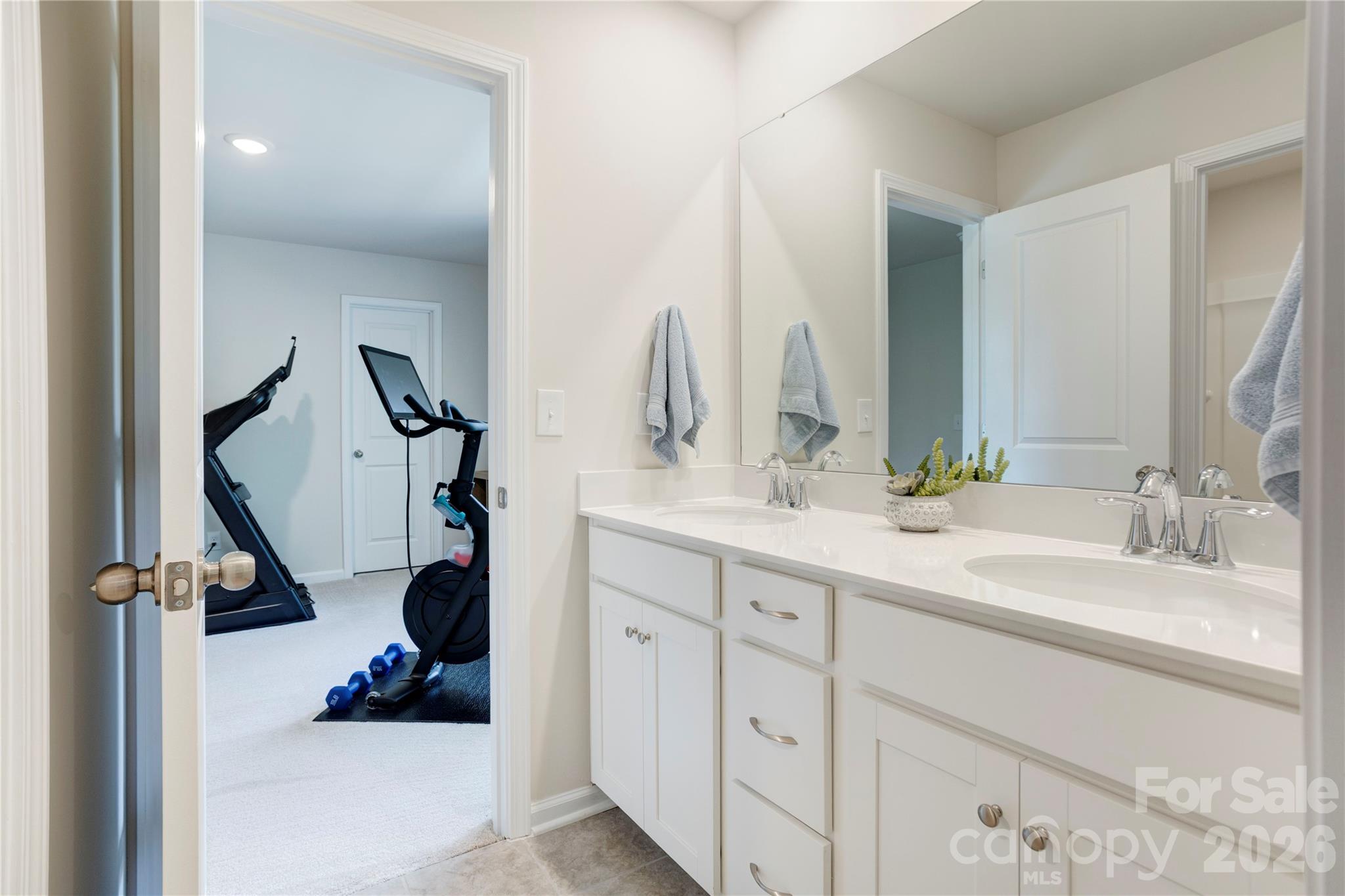 13033 Cinnamon Fern Lane — Charlotte