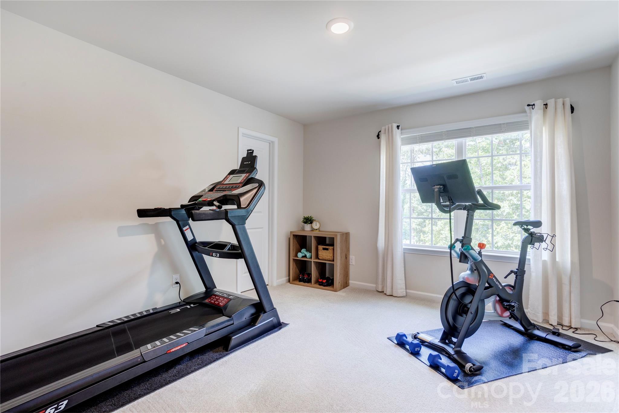 13033 Cinnamon Fern Lane — Charlotte