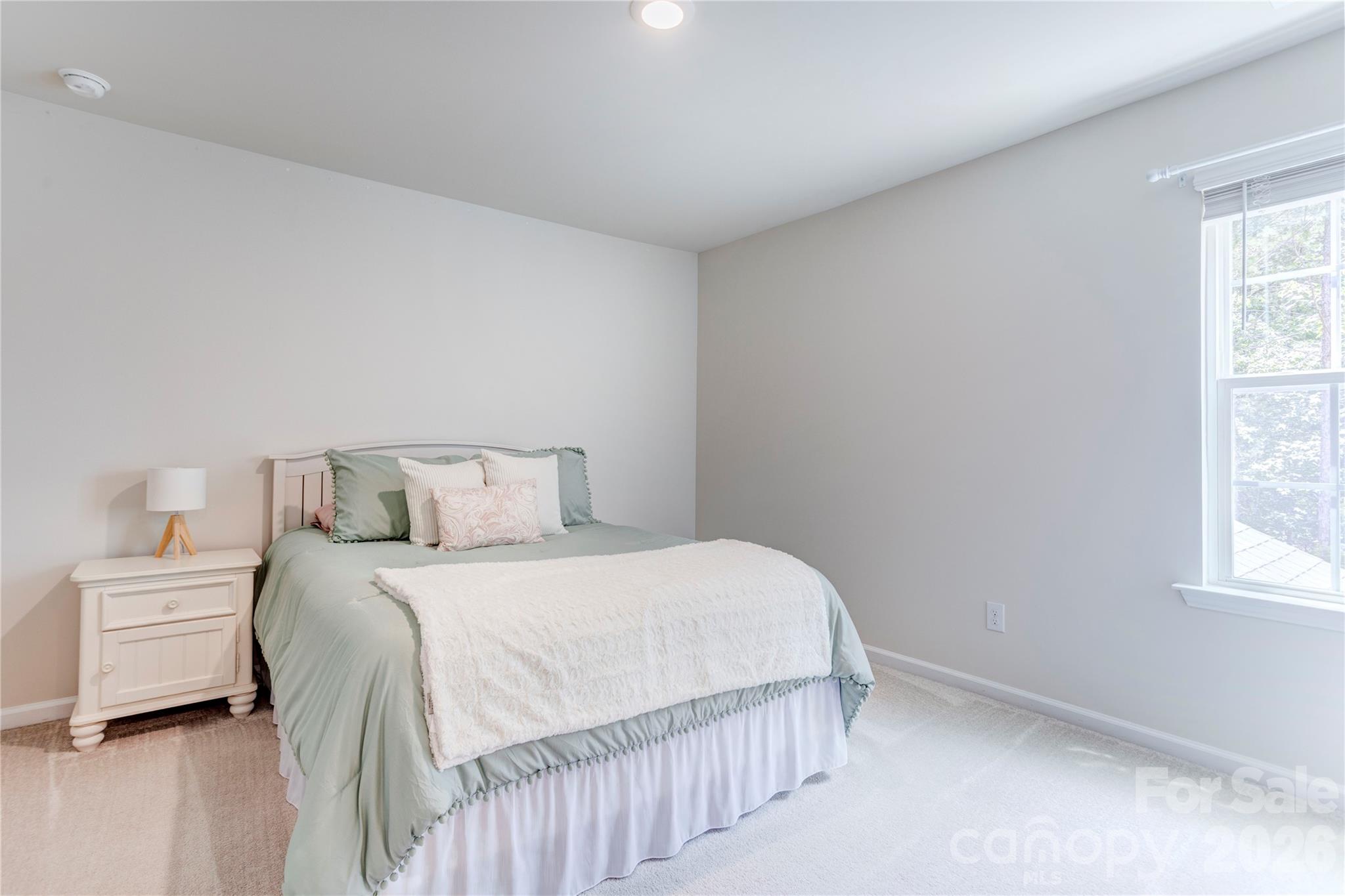13033 Cinnamon Fern Lane — Charlotte