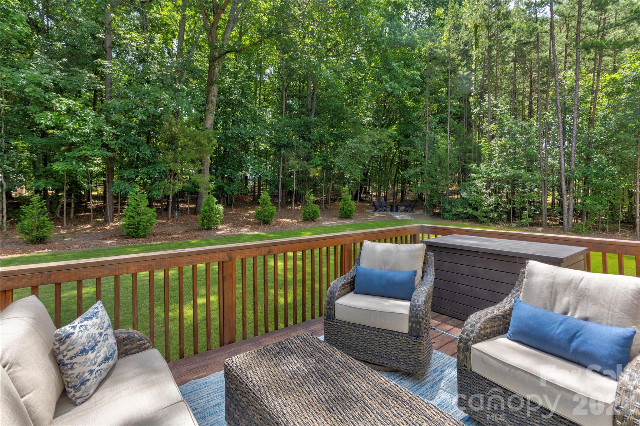 13033 Cinnamon Fern Lane — Charlotte