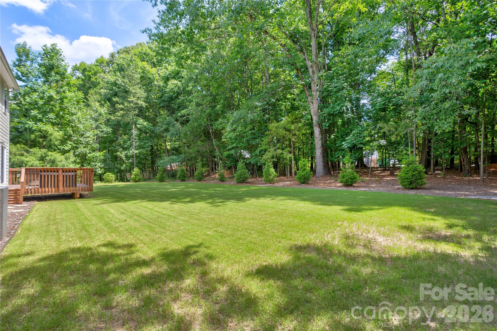 13033 Cinnamon Fern Lane — Charlotte