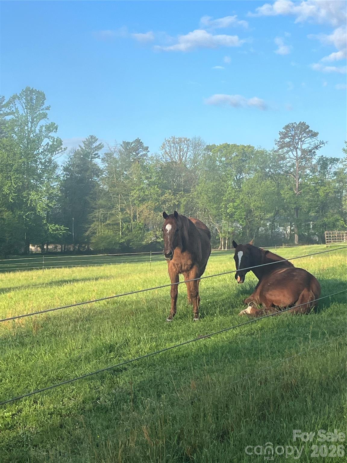 30 Countryside Drive — Hendersonville