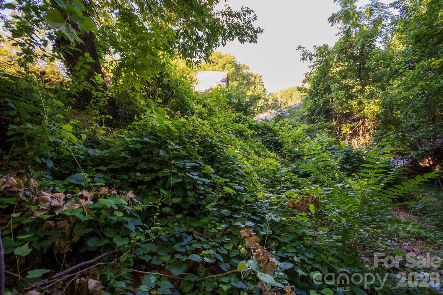 91 Clingman Avenue — Asheville