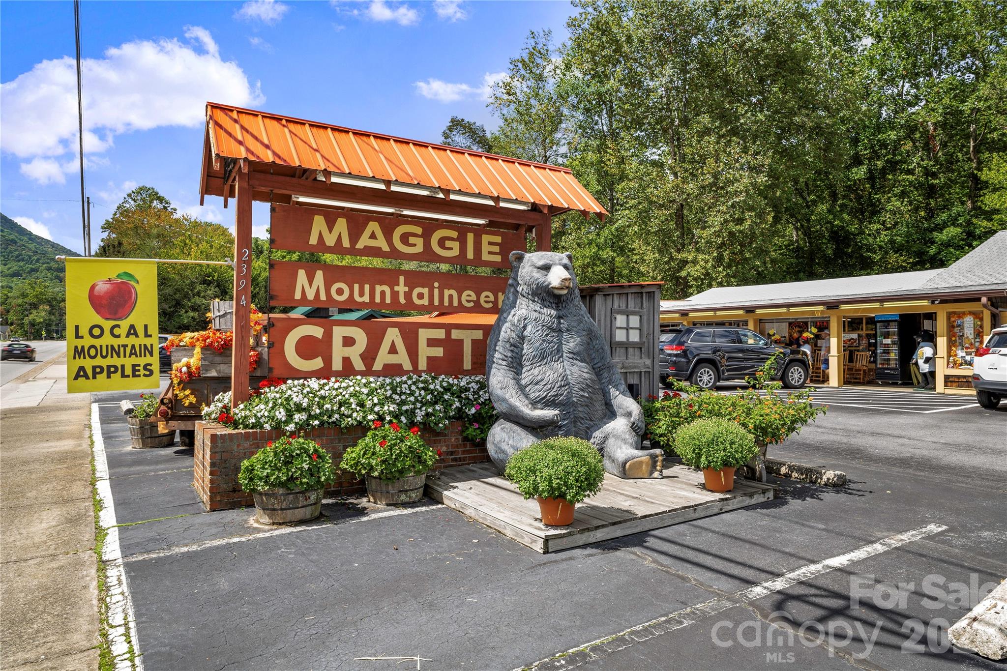 30 Sleeping Bear Ridge — Maggie Valley