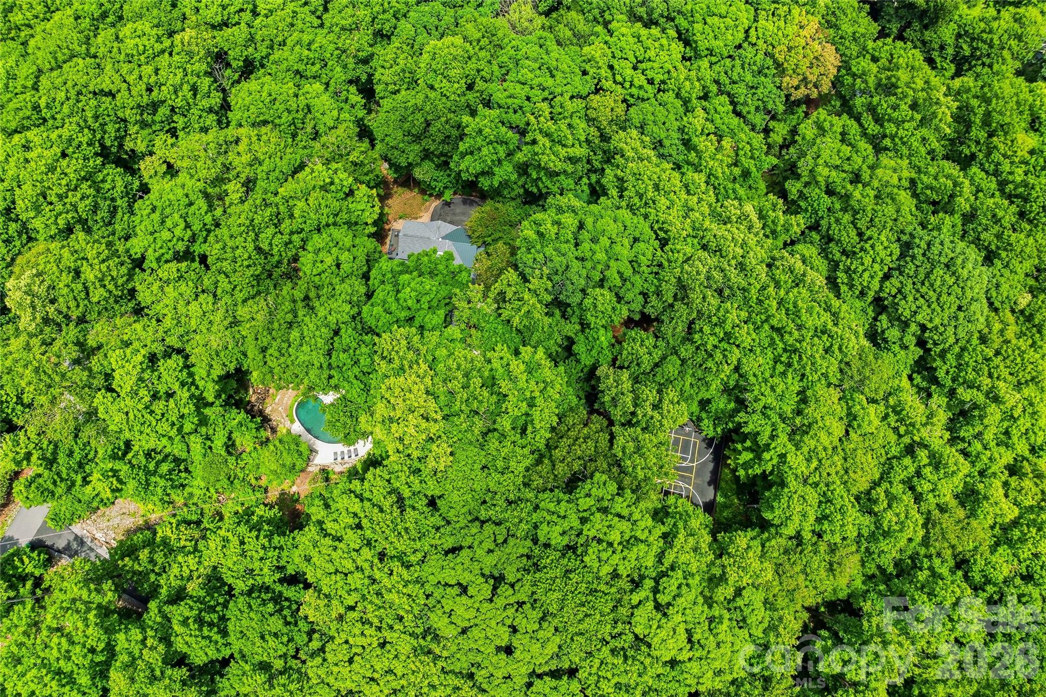 61 Scroops Drive — Swannanoa