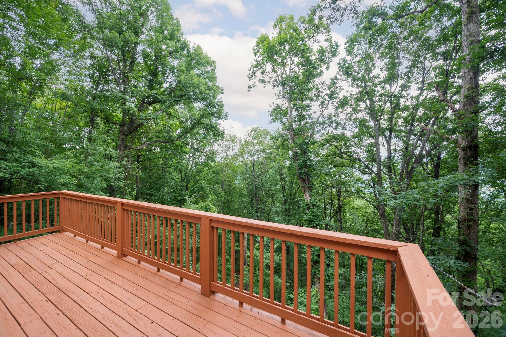 72 Wildflower Mountain Trail — Candler