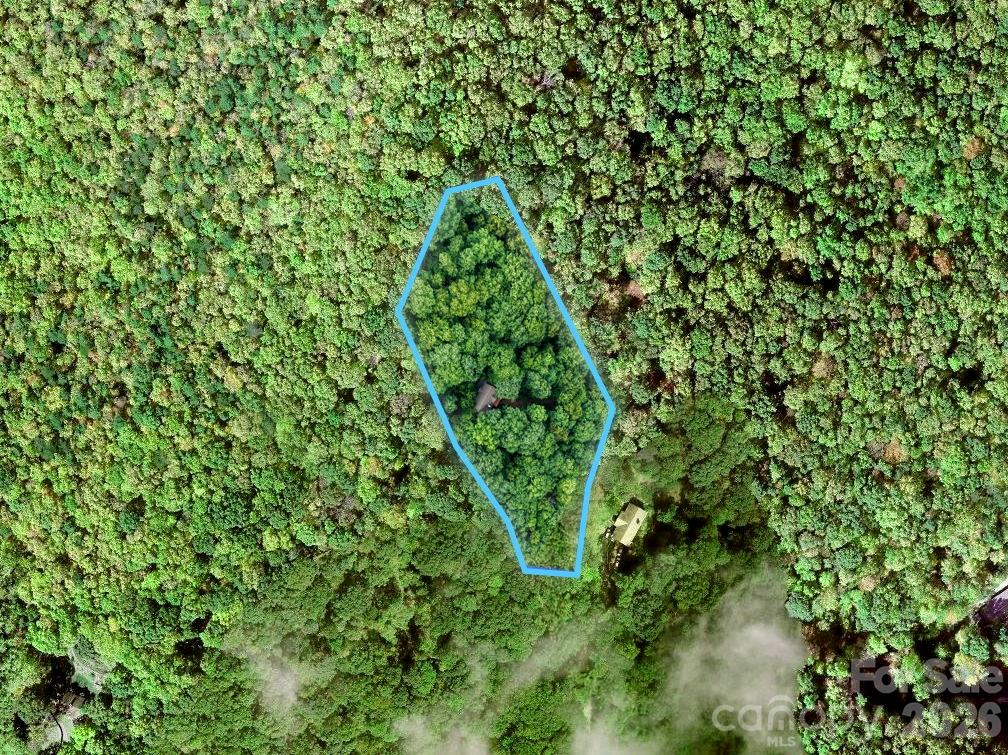 72 Wildflower Mountain Trail — Candler