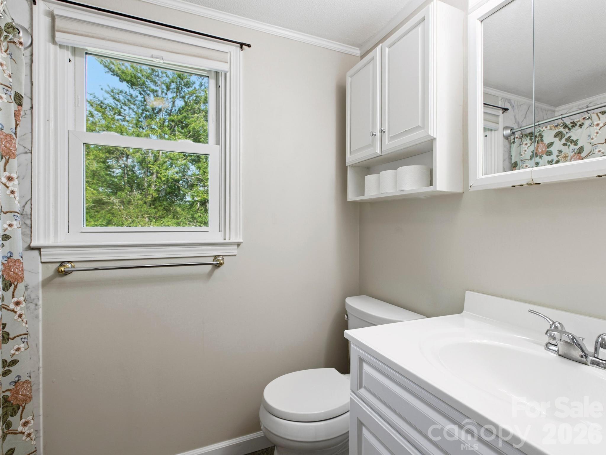 407 Hall Street — Hendersonville