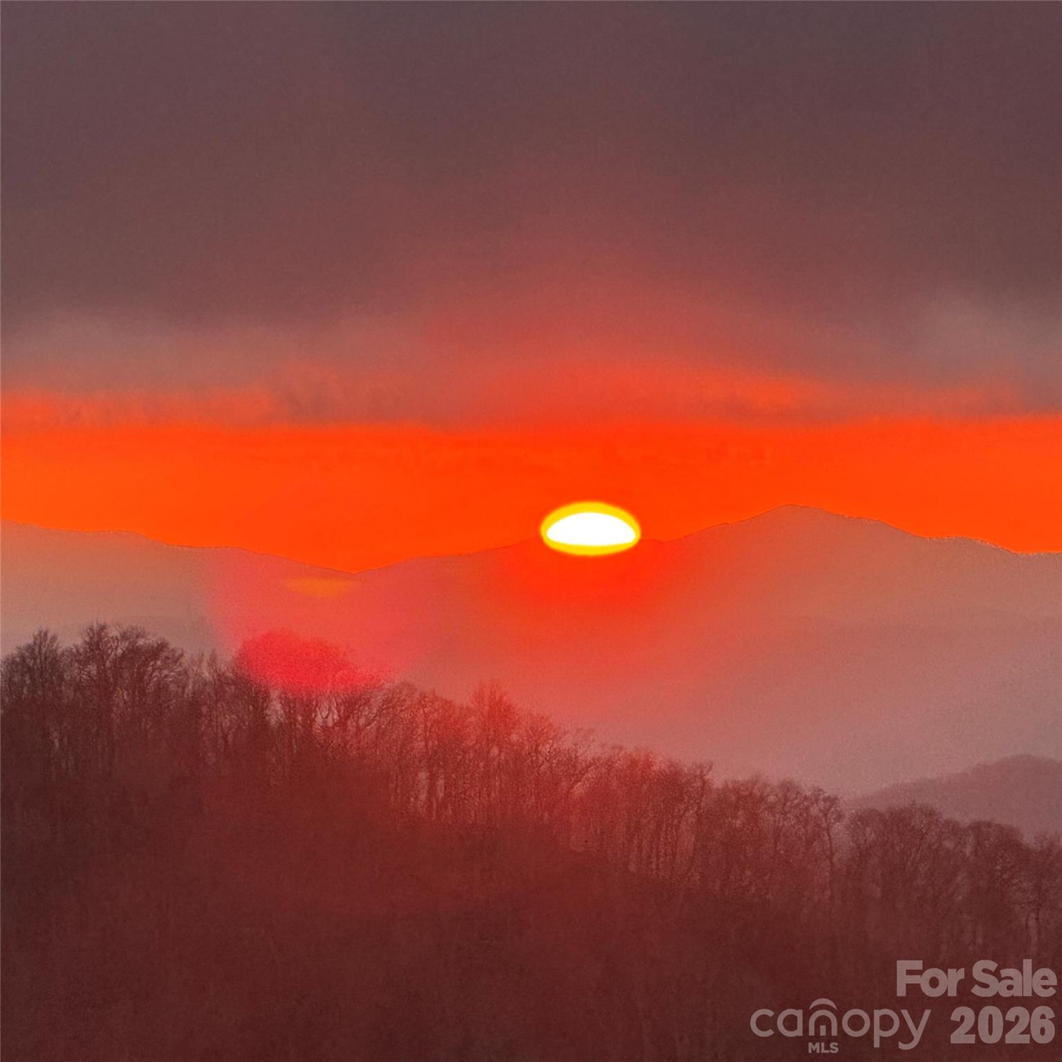 635 Acorn Nvno — Zionville