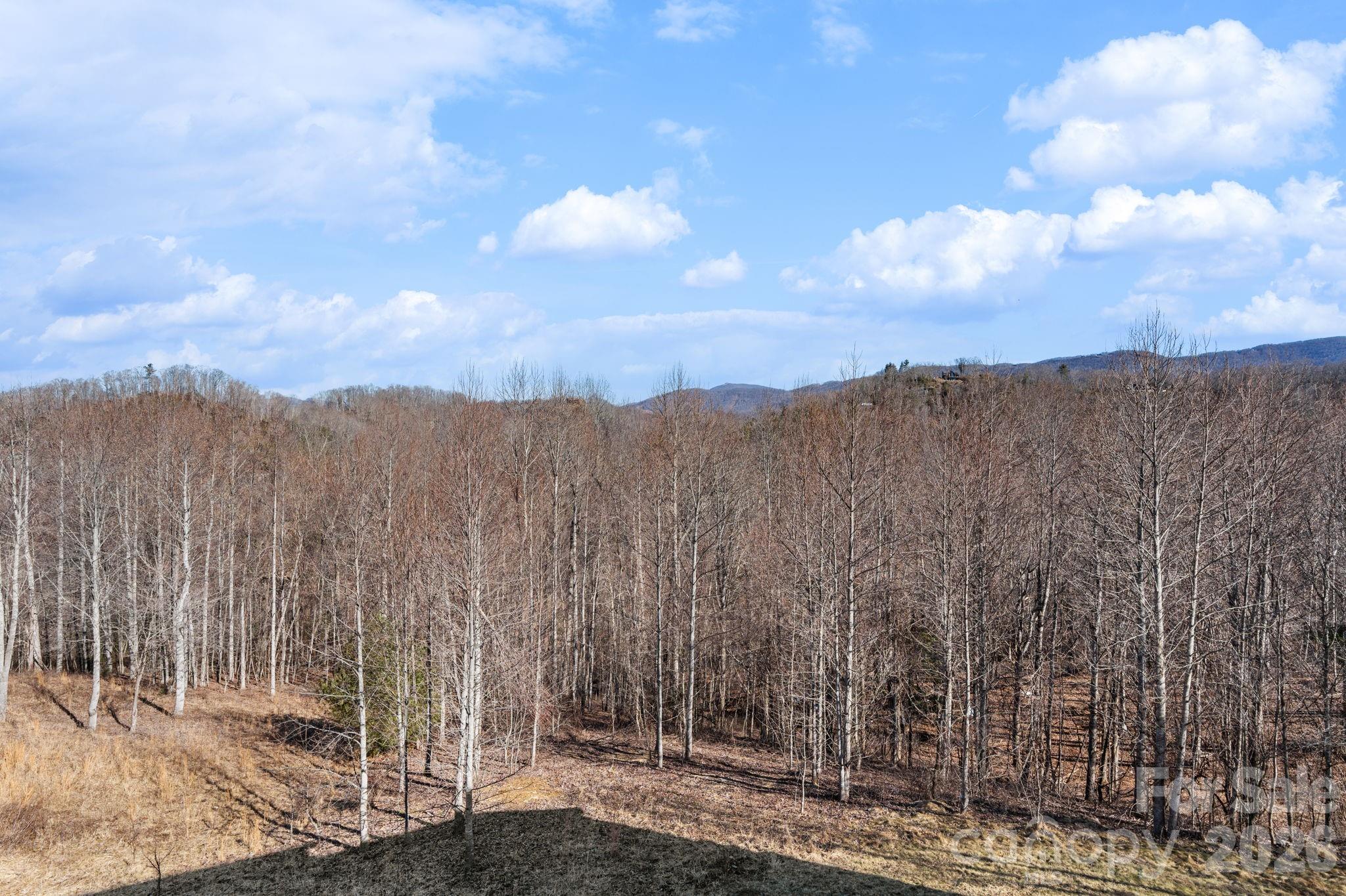 171 Pleasant View Drive — Vilas