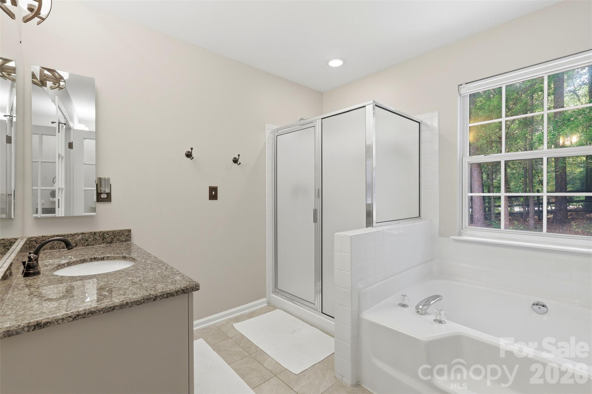 3126 Spring Fancy Lane — Indian Trail