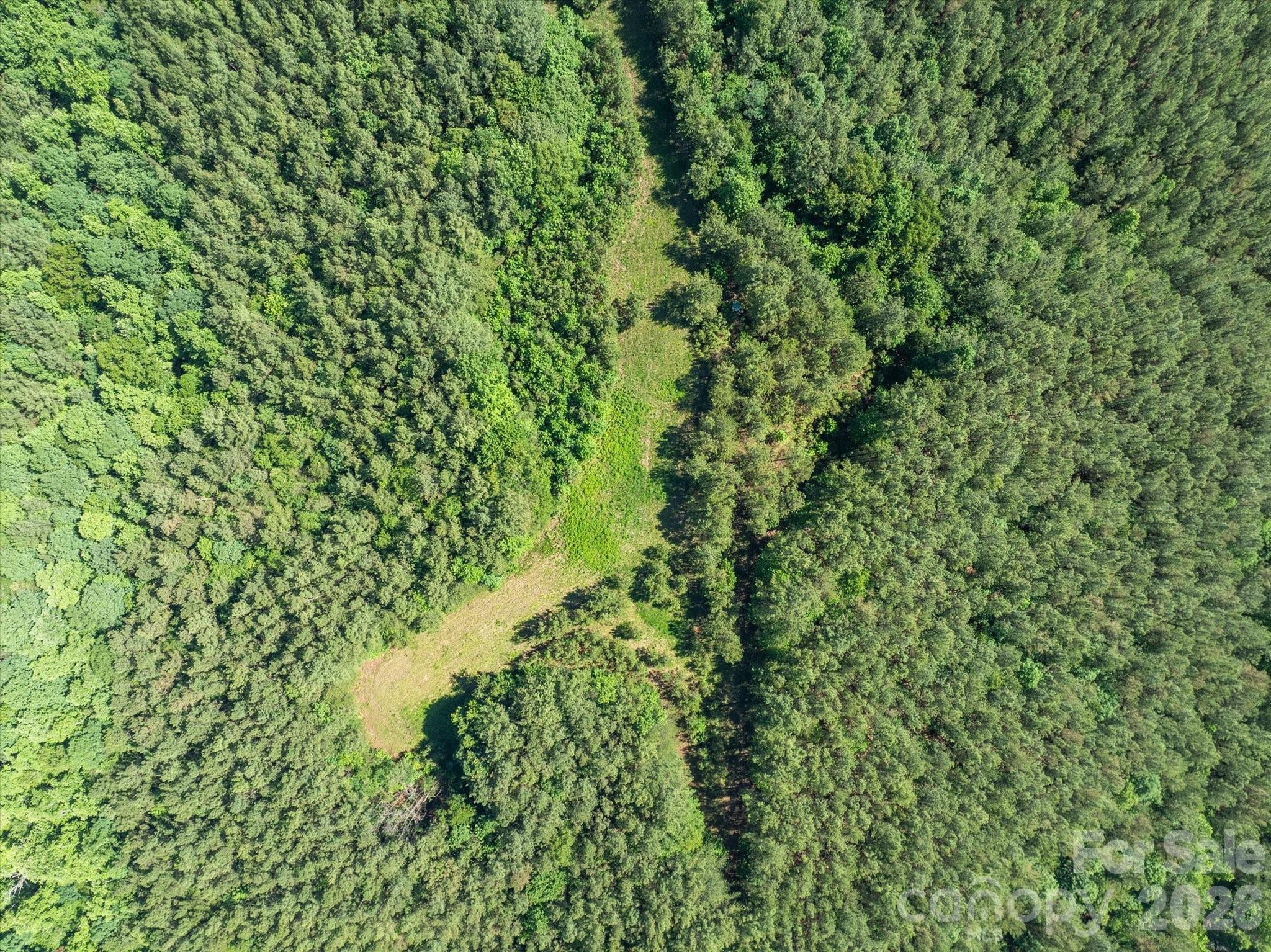 1194 Palmer Road — Mill Spring
