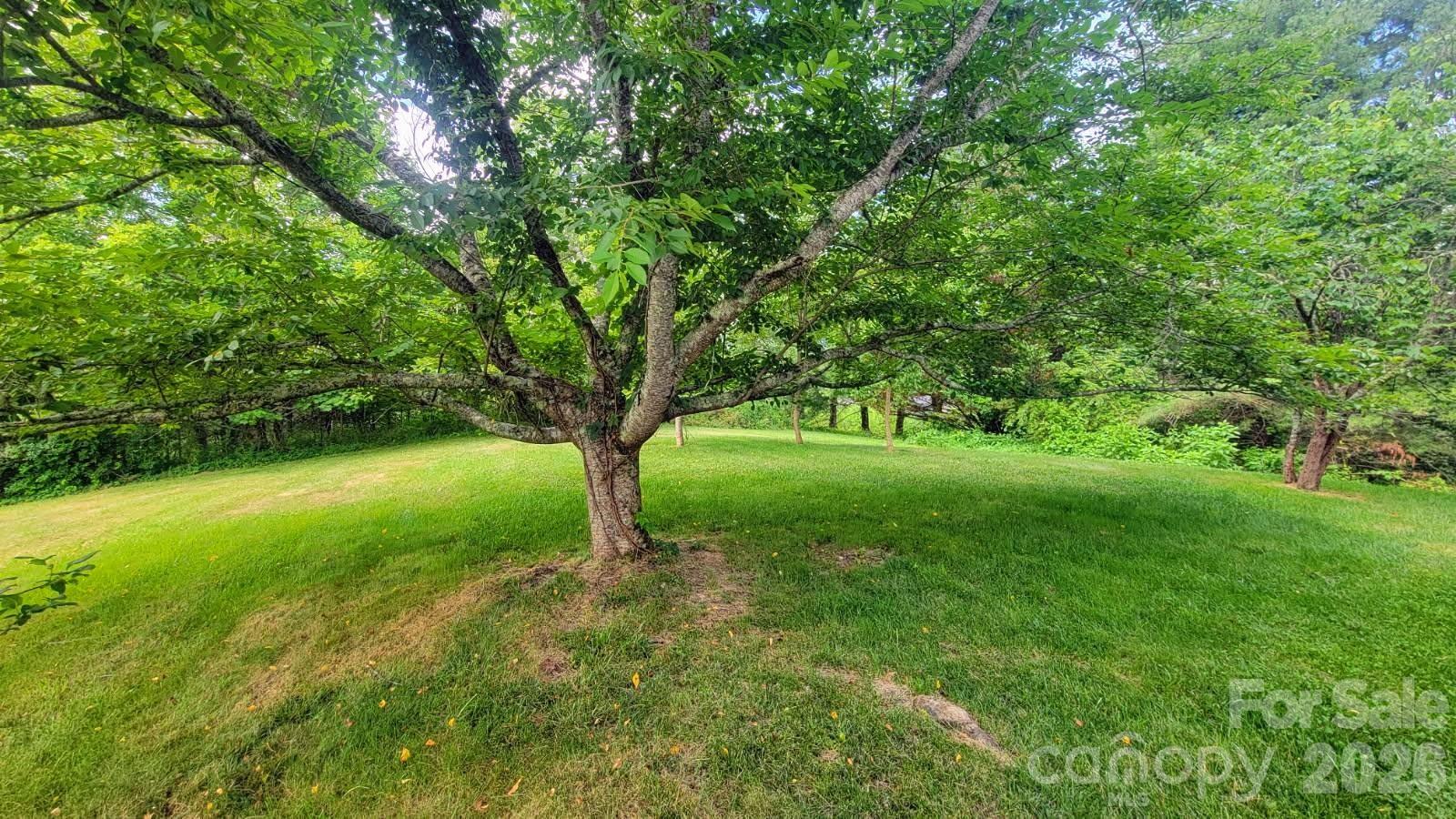 1091 WINDSWEPT RIDGE Road — Marshall