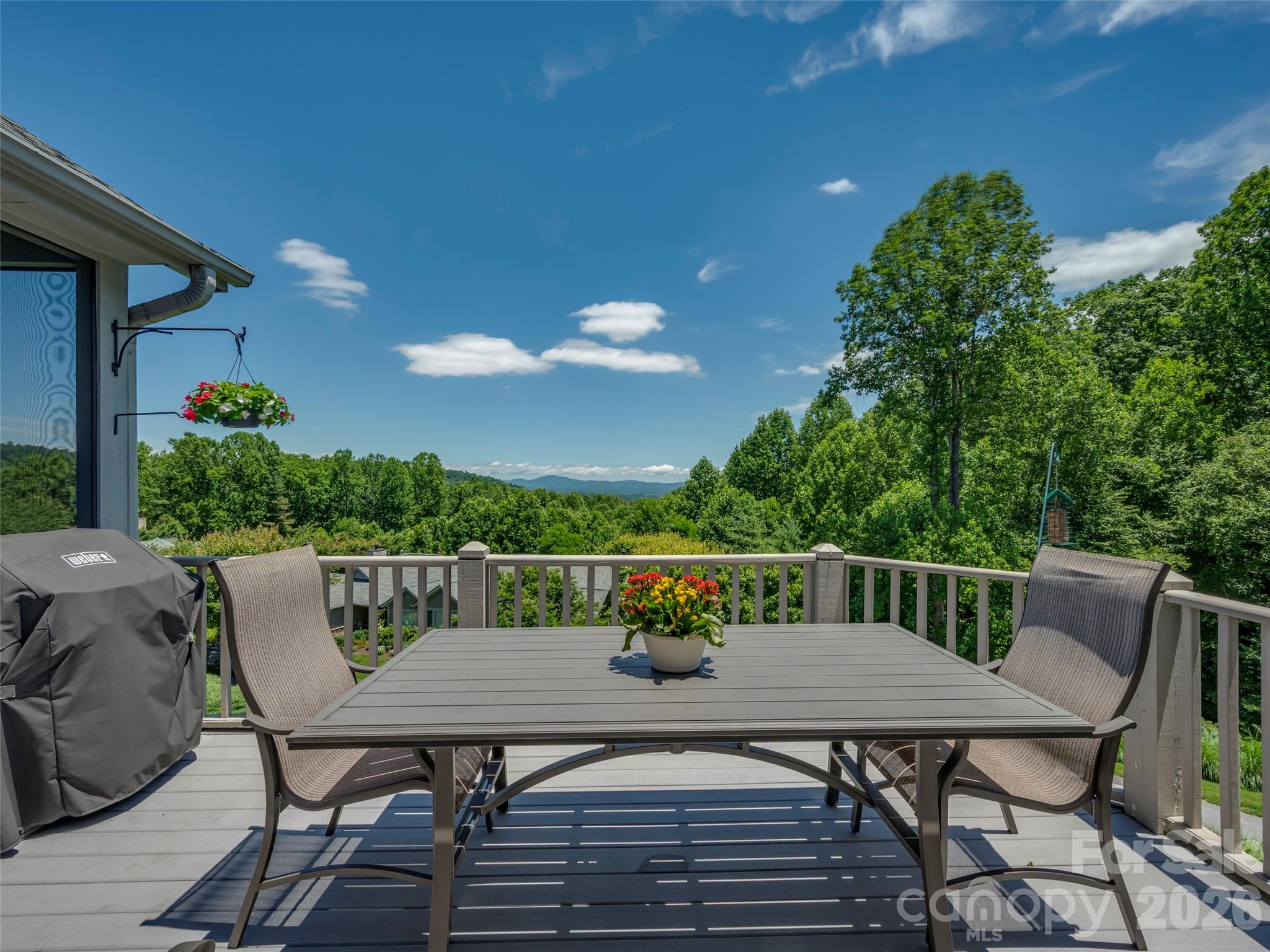 2 Meadow Ridge Lane — Hendersonville