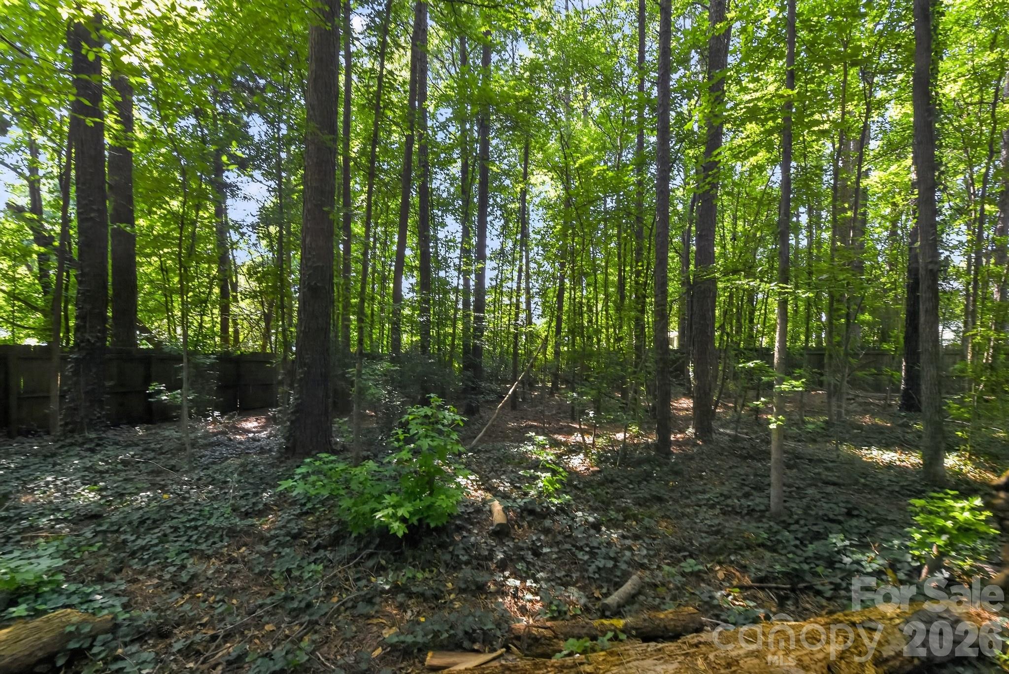1306 Cool Mist Court — Fort Mill